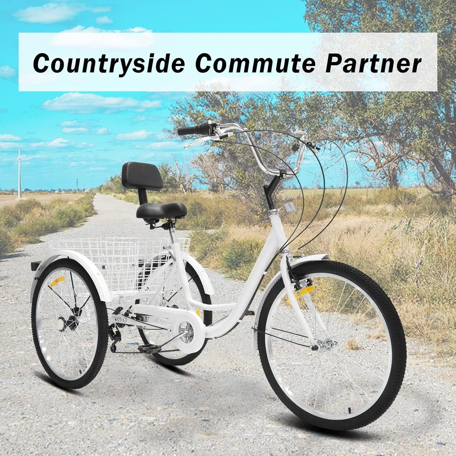 Speed Adjustable Adult Trike Bicycle 