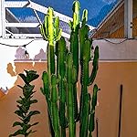 Review Image by Photoid Photoid