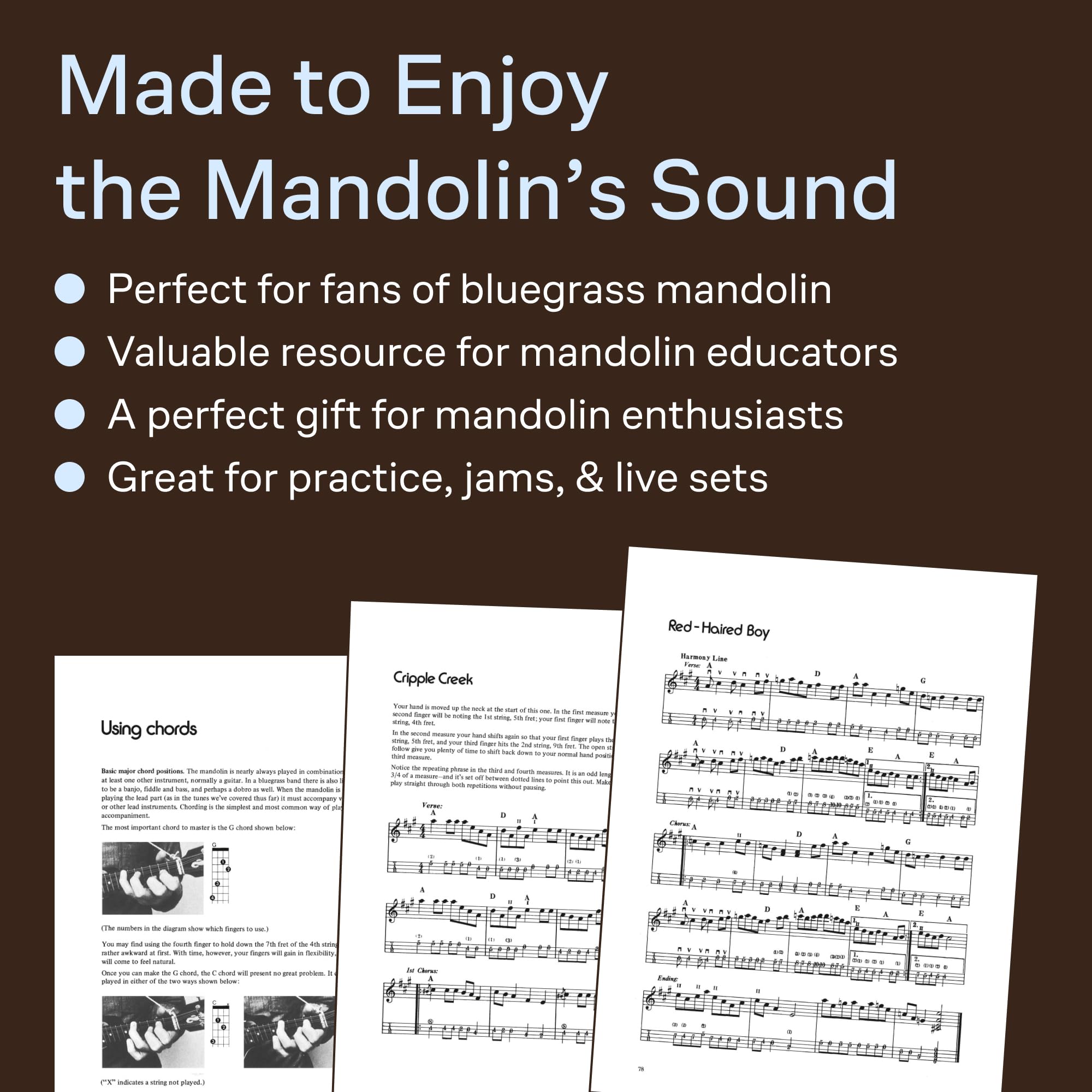 Bluegrass mandolin