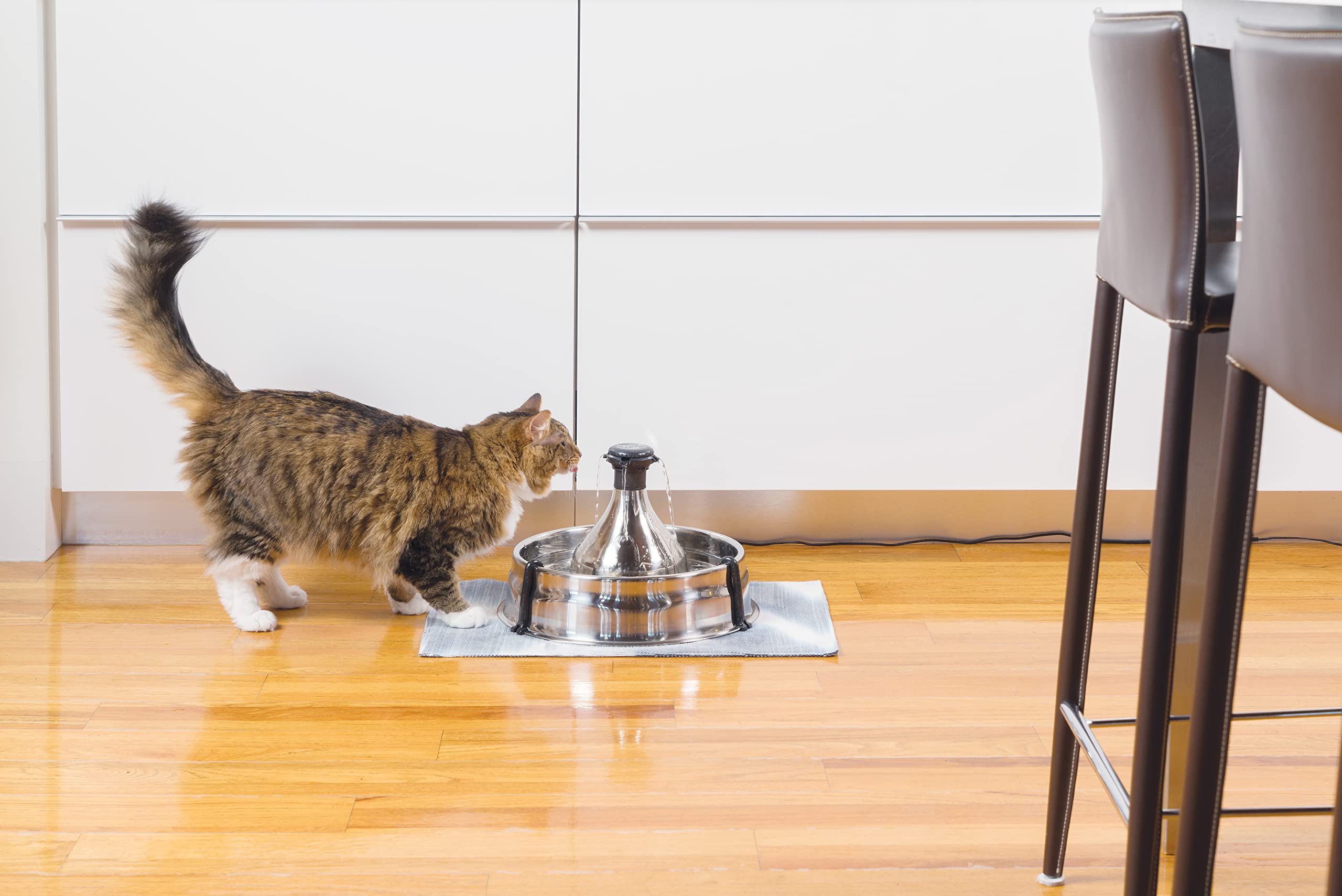 PetSafe Drinkwell - Fuente para Perros y Gatos de Acero Inoxidable - Flujo de Agua Ajustable y Capacidad de 3,8 litros