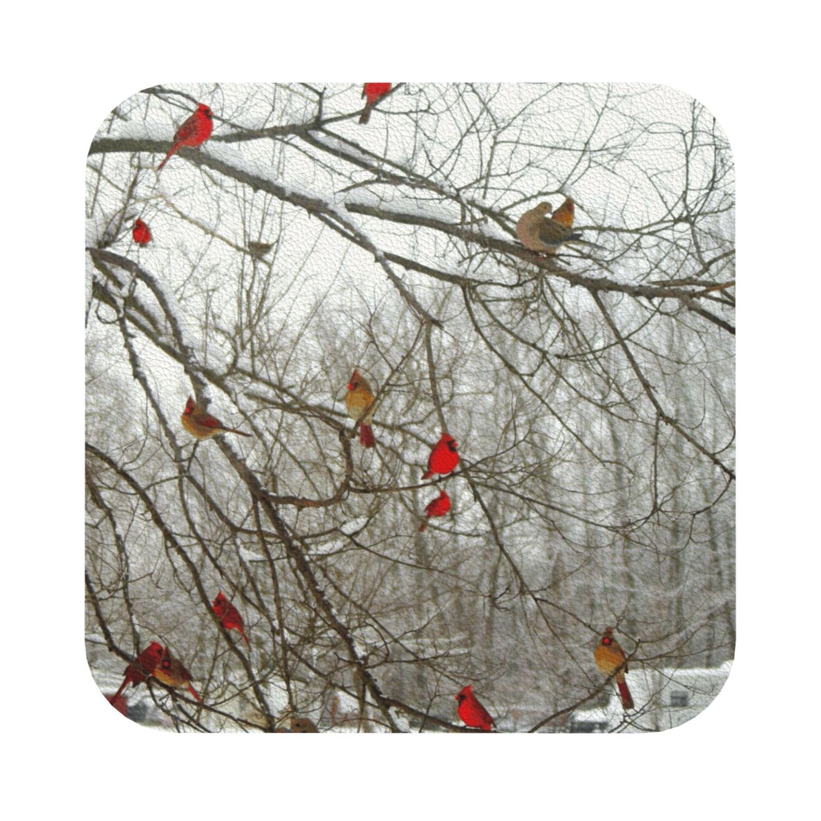 Birch Trees PU Leather Coasters Set of 6 Square Drink Coasters