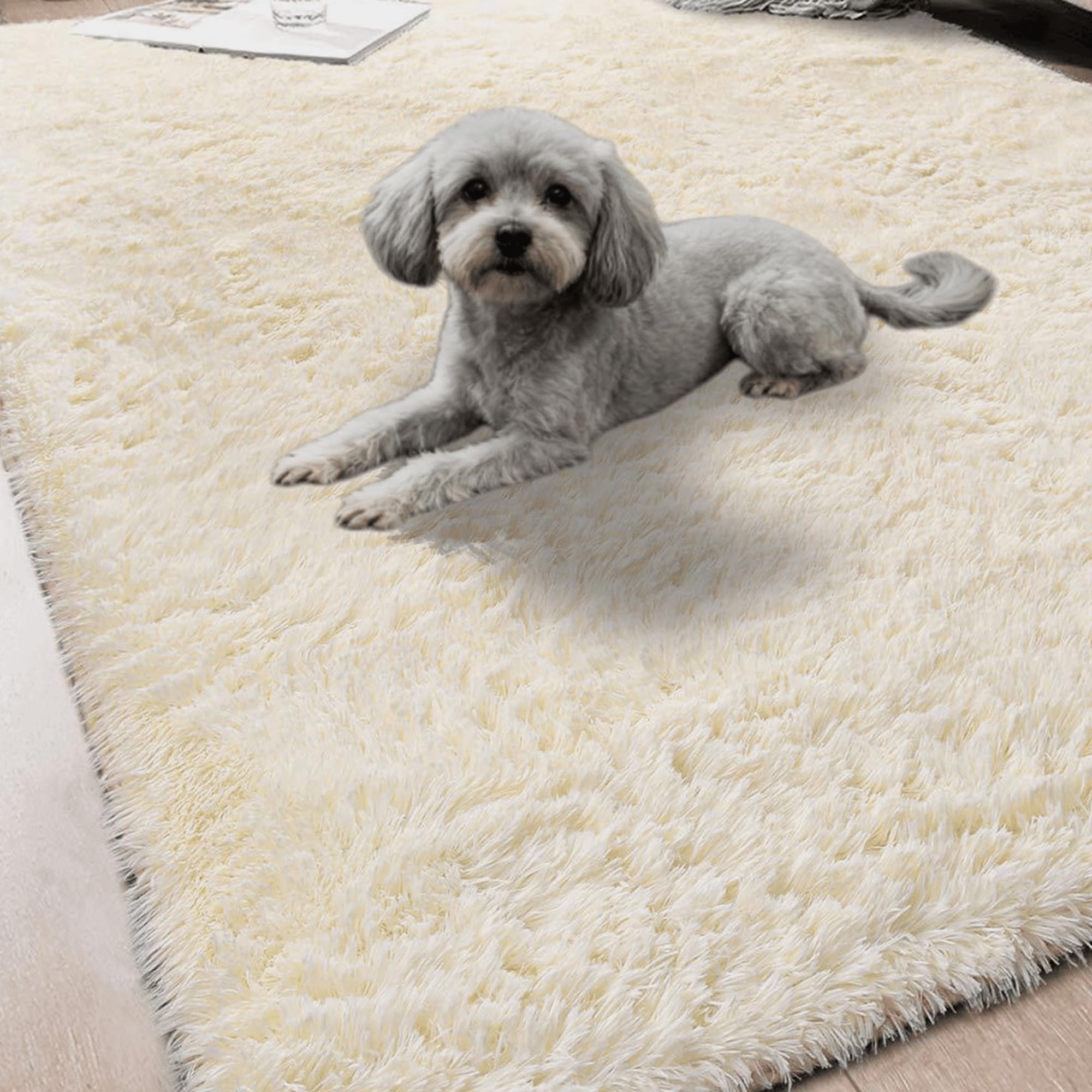 Tapis de salon 300x300 crème pour chambre et espace enfant