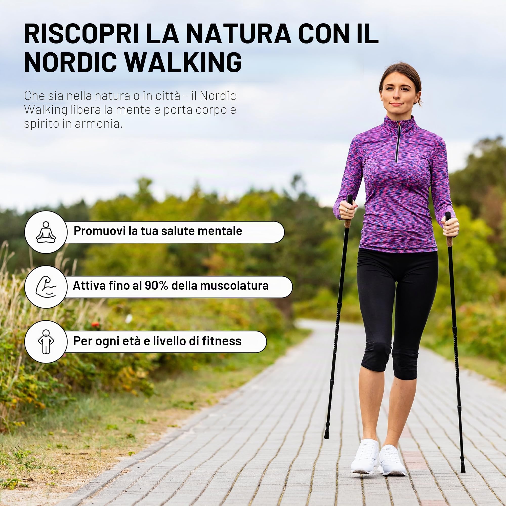 MSPORTS Bastoncini Nordic Walking Premium Antracite | Selezionabile con Borsa (Bastoncini Nordic Walking Premium - Ultraleggero - Walking Sticks - Antracite/Azzurro)