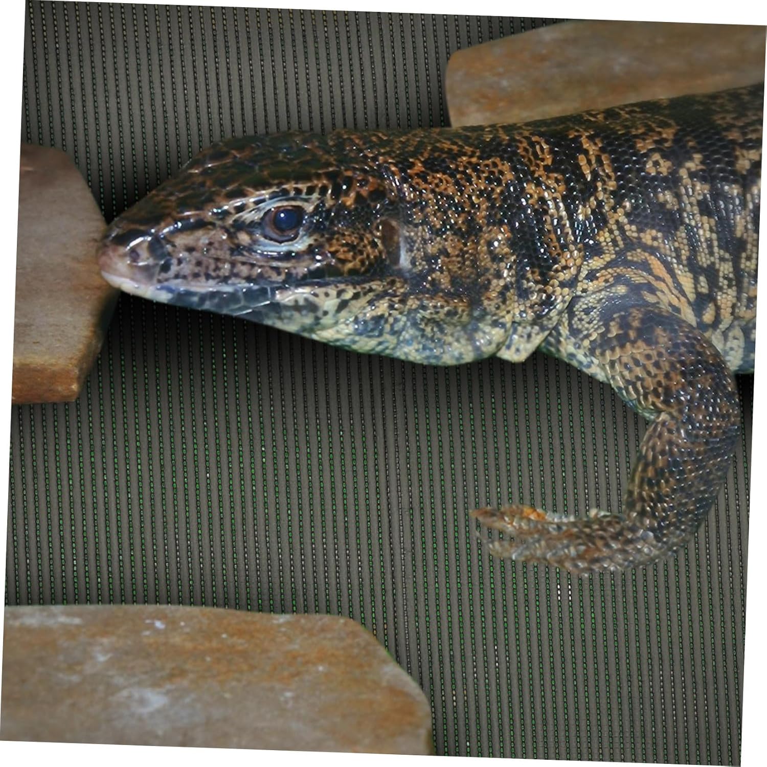 DECHOUS Reptile Terrarium Pad and Moisture-retaining Carpet for Tortoise Bedding and Breathable Mat for Reptiles for Snake and Lizard Habitats