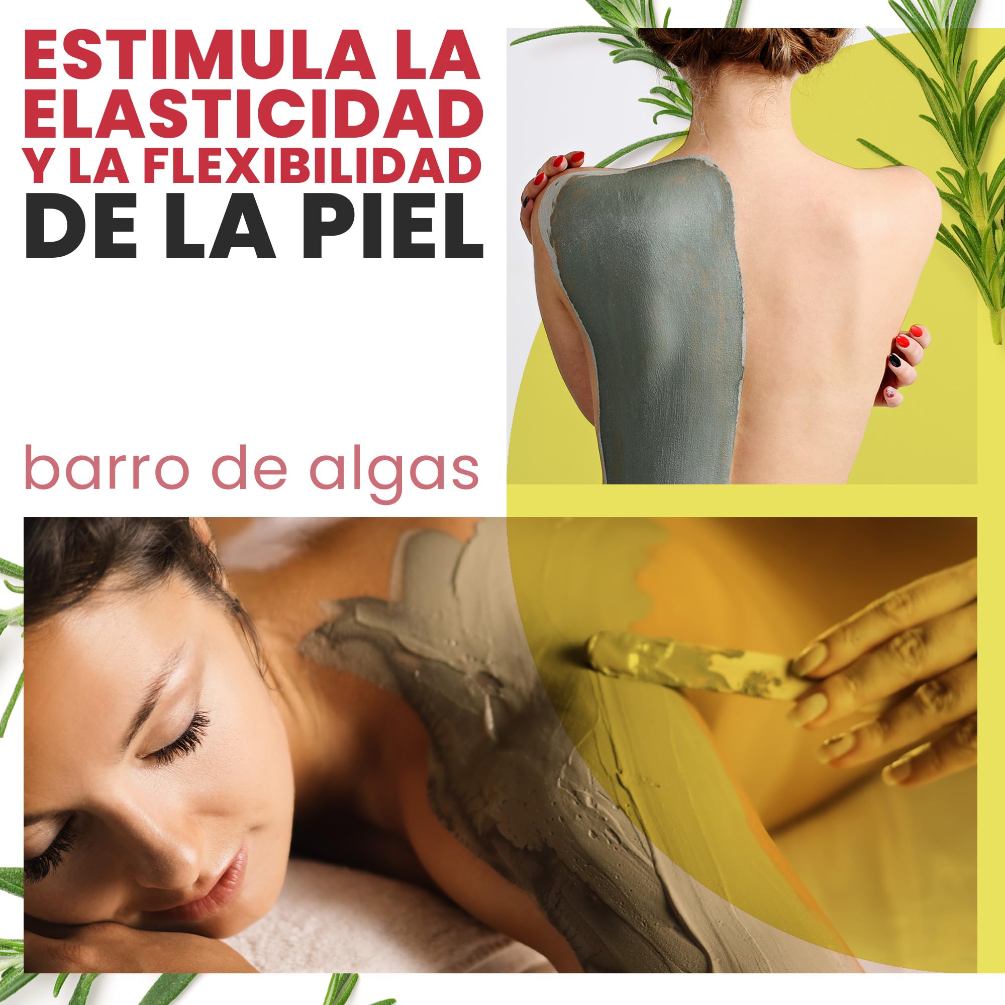 Barro de Algas Anticelulitico: Combate Celulitis y Flacidez Corporal. Efecto Reafirmante y Resultados Visibles. Fango Profesional SPA Tratamiento de Choque - Ready To Use - 6000 g 6 kg