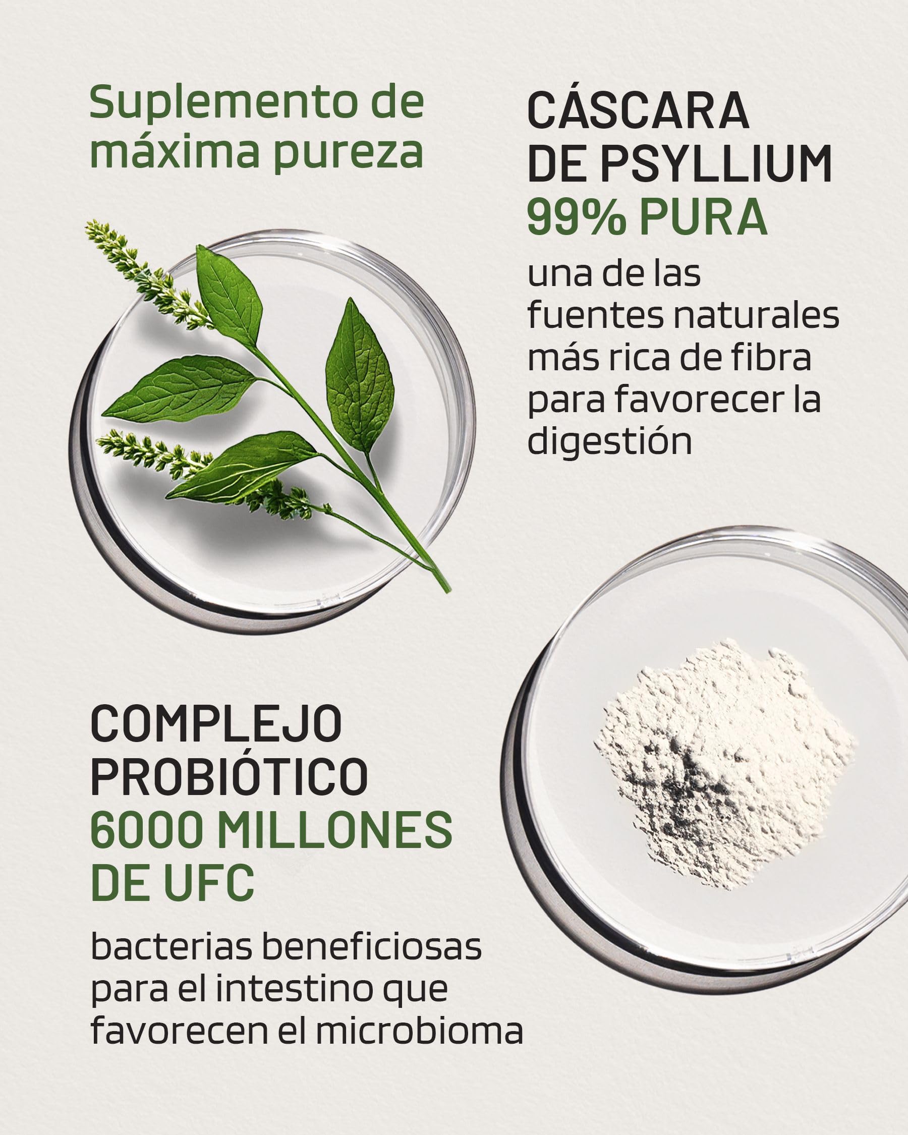 Cáscara de Psyllium con Probióticos 99% Pureza 60 Cápsulas 1400 mg Psyllium Husk 60 Mil Millones Probióticos Digestión Fibra Plantago Ovata