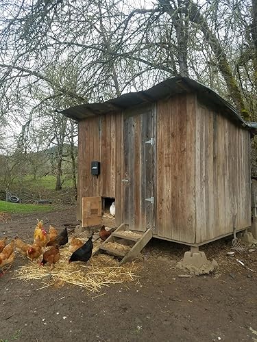 Miniatura 5 de Abridor automático de puertas de gallinero, con capacidad solar (kit estándar KSP, sin batería)