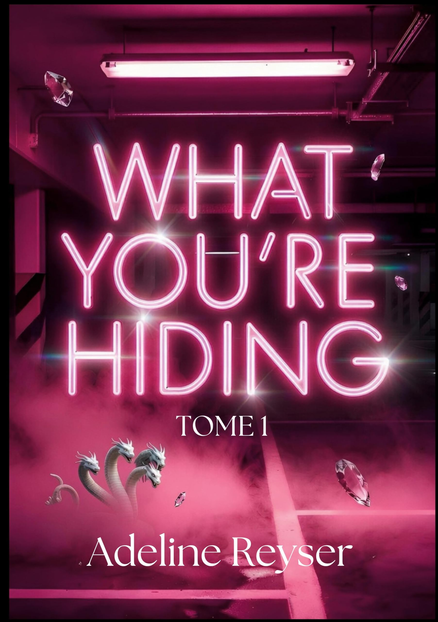 What you’re hiding: Tome 1 (What you're hiding- duologie)