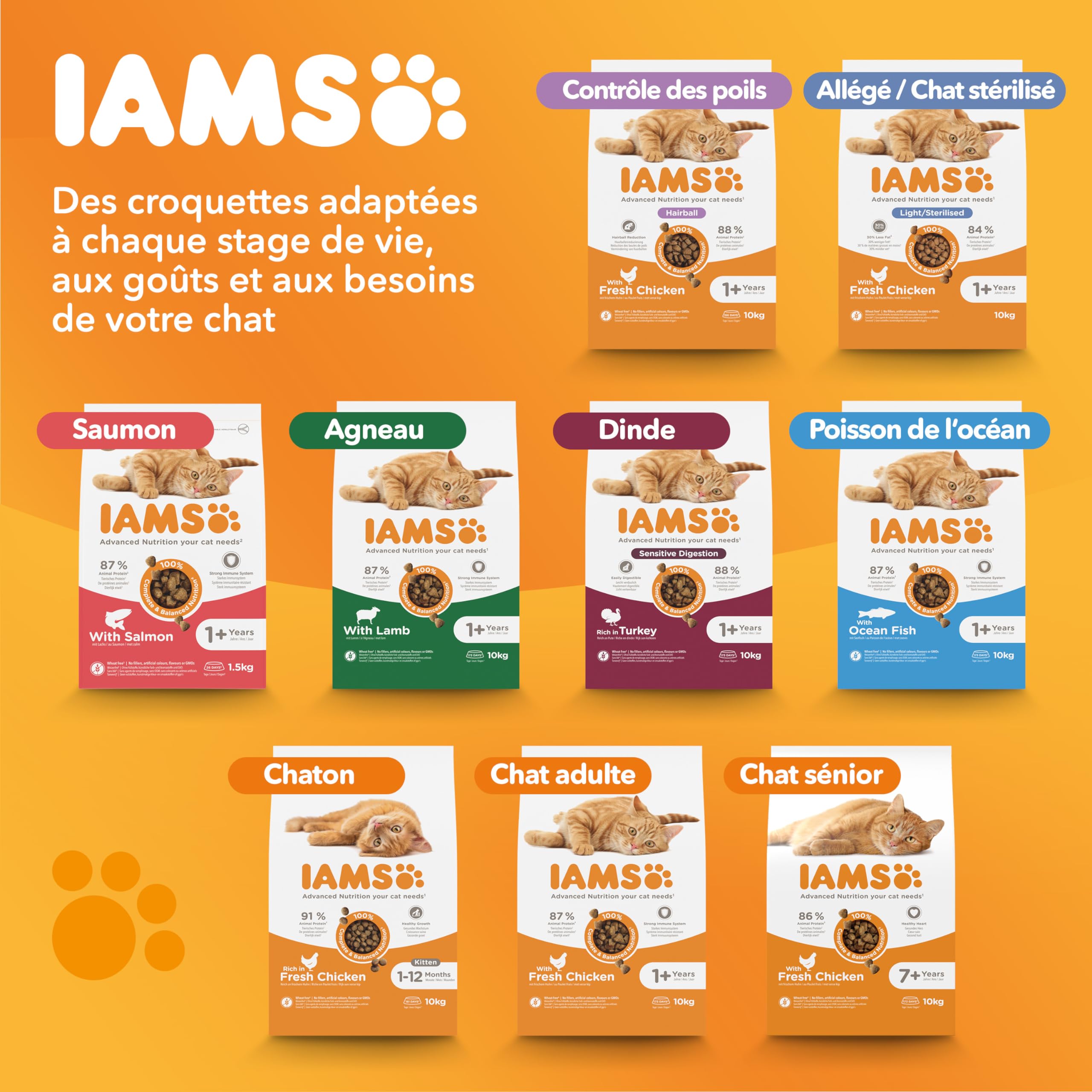 IAMS Vitality - Croquettes Premium Chats Adultes 100% Complètes Et Ã‰quilibrées - A L'Agneau - Sans OGM Colorant Arôme Artificiel - Sac Refermable 1,5