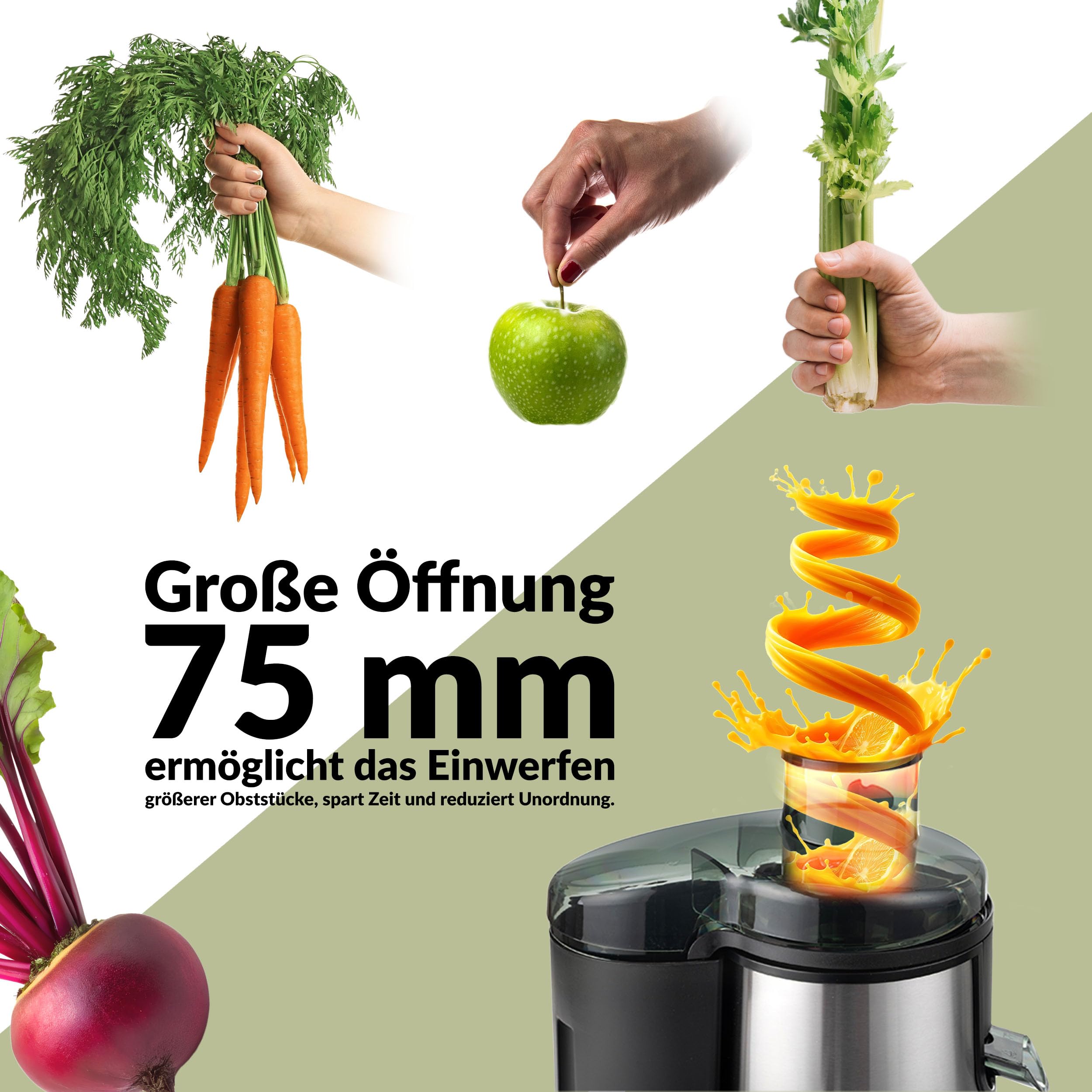 LEHMANN Zentrifugal Entsafter für Obst und Gemüse, Schnelle Saftzubereitung, 75 mm Einfüllschacht, BPA-frei, 2 Geschwindigkeiten, Leicht zu reinigen, elektrische Saftmaschine aus Edelstahl
