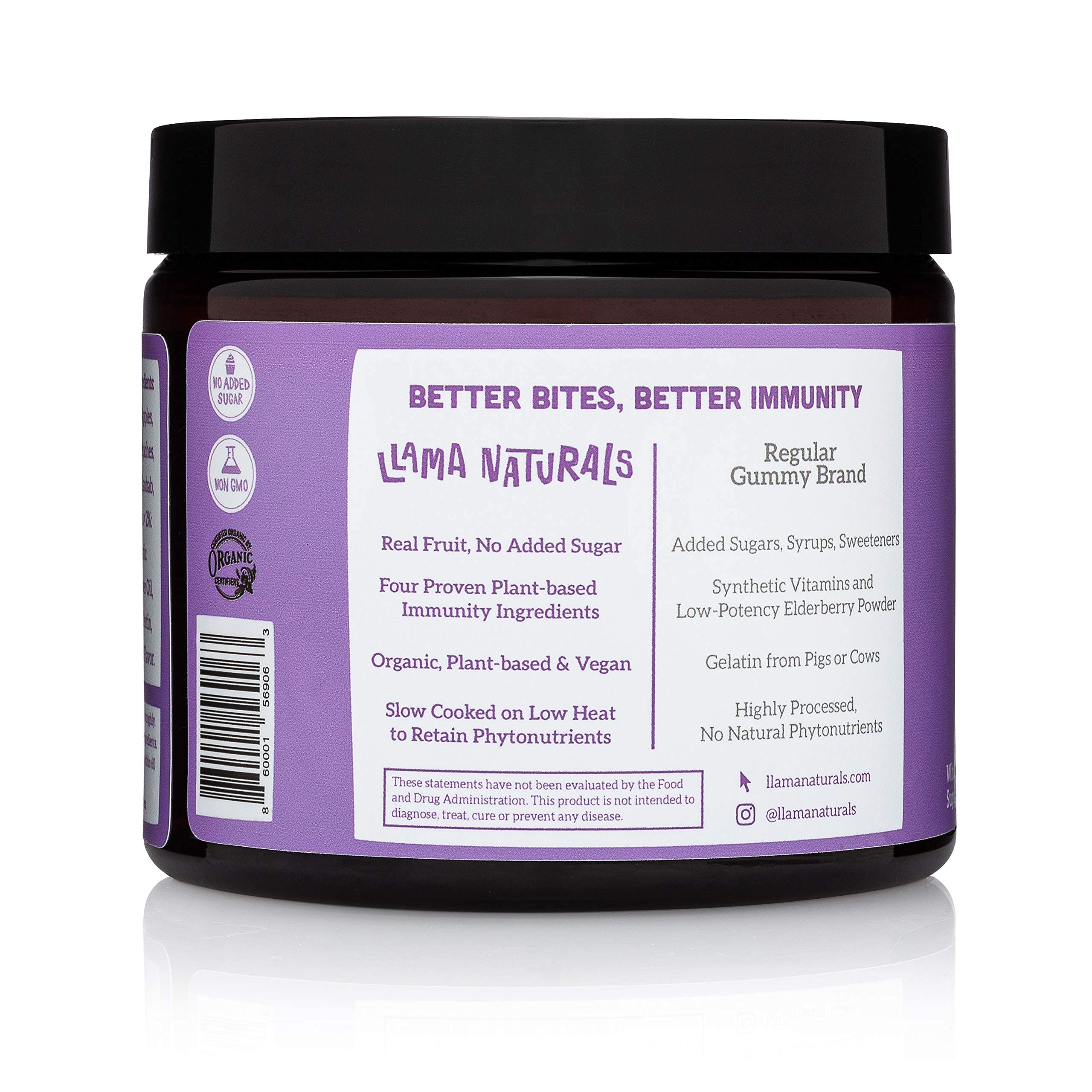 Whole Fruit Sambucus Elderberry Gummies for Kids No Added Sugar, Vegan, Kids Immune Support