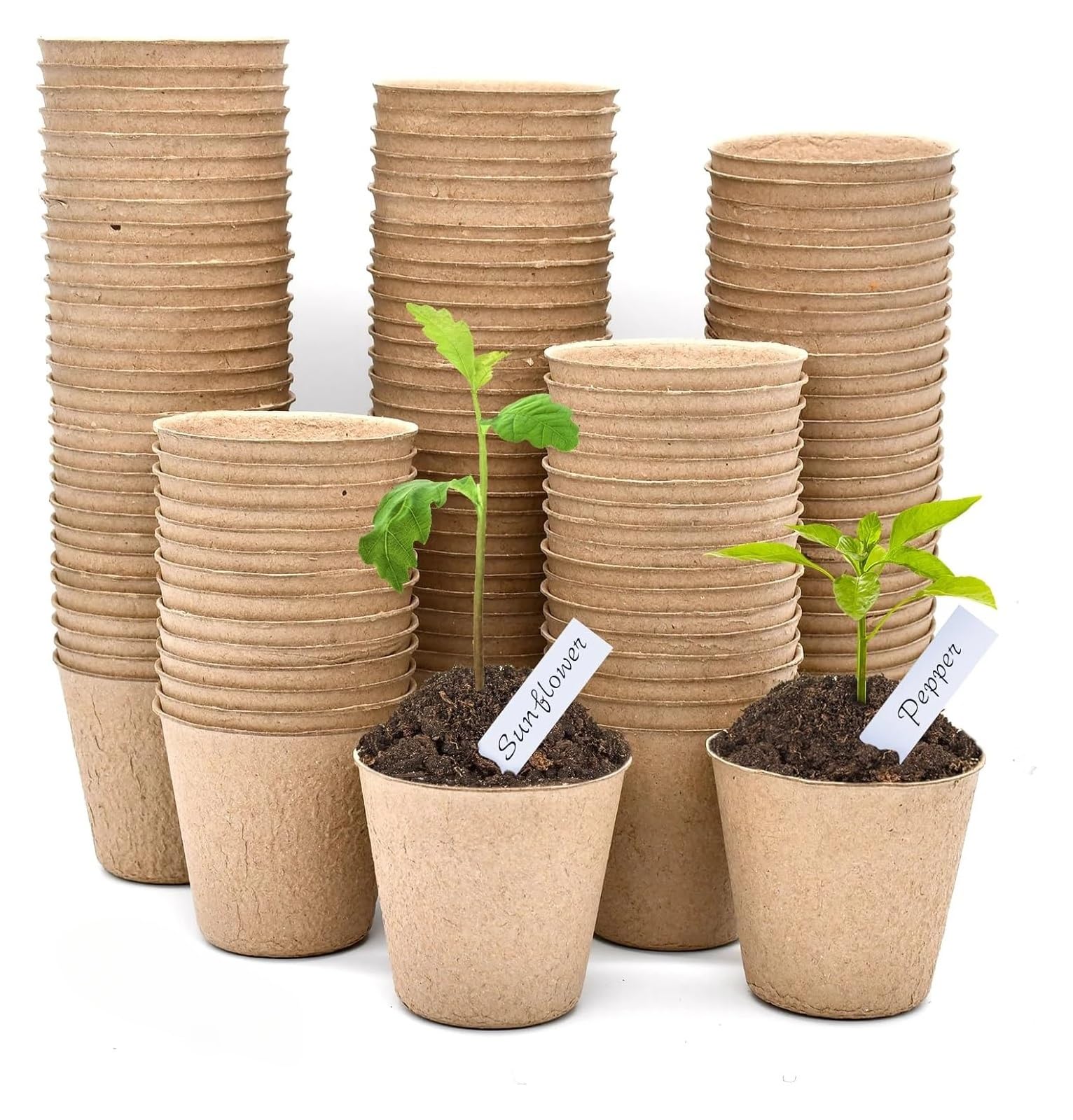 Générique 20 à 200 Pots Ronds en Tourbe for Jardin, Godets de semis, Plateaux Plantation for Herbes aromatiques et Outils(200PCS)