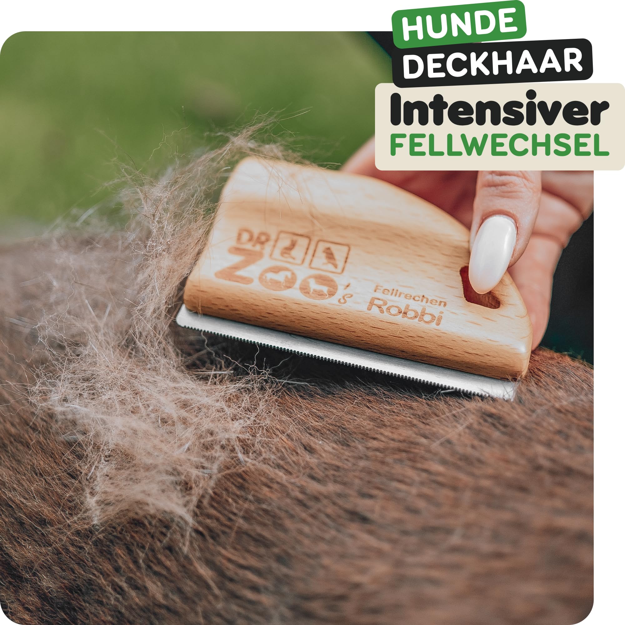 DR Zoo Cepillo para perros "Robbi" – Cepillo milagroso de alta calidad para el cuidado eficaz para perros pequeños y grandes, ideal para eliminar el pelo corto con capa interna