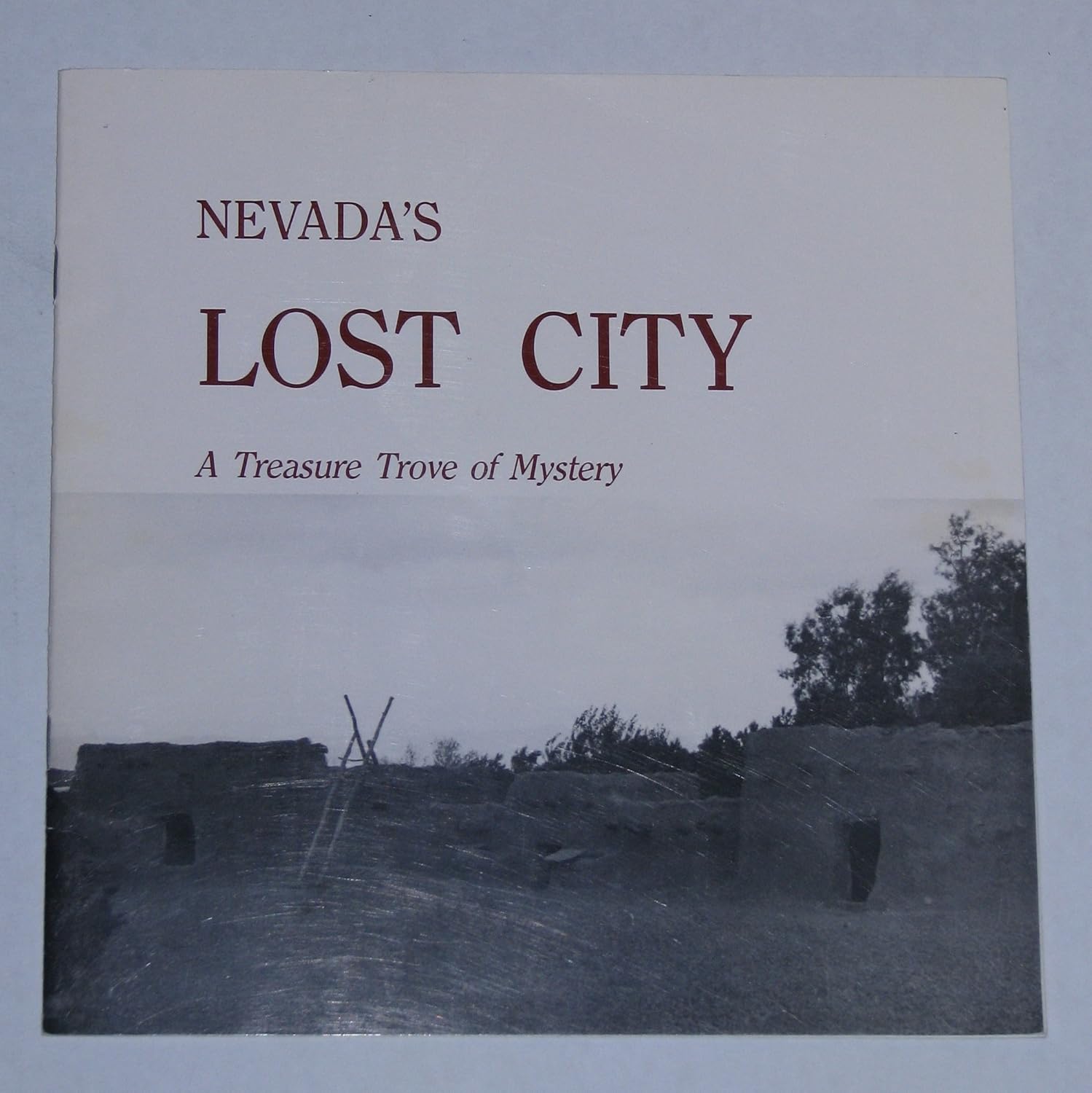 Nevadas Forgotten Villain The Life And Crimes Of Stanley Patterson - ookpqkx