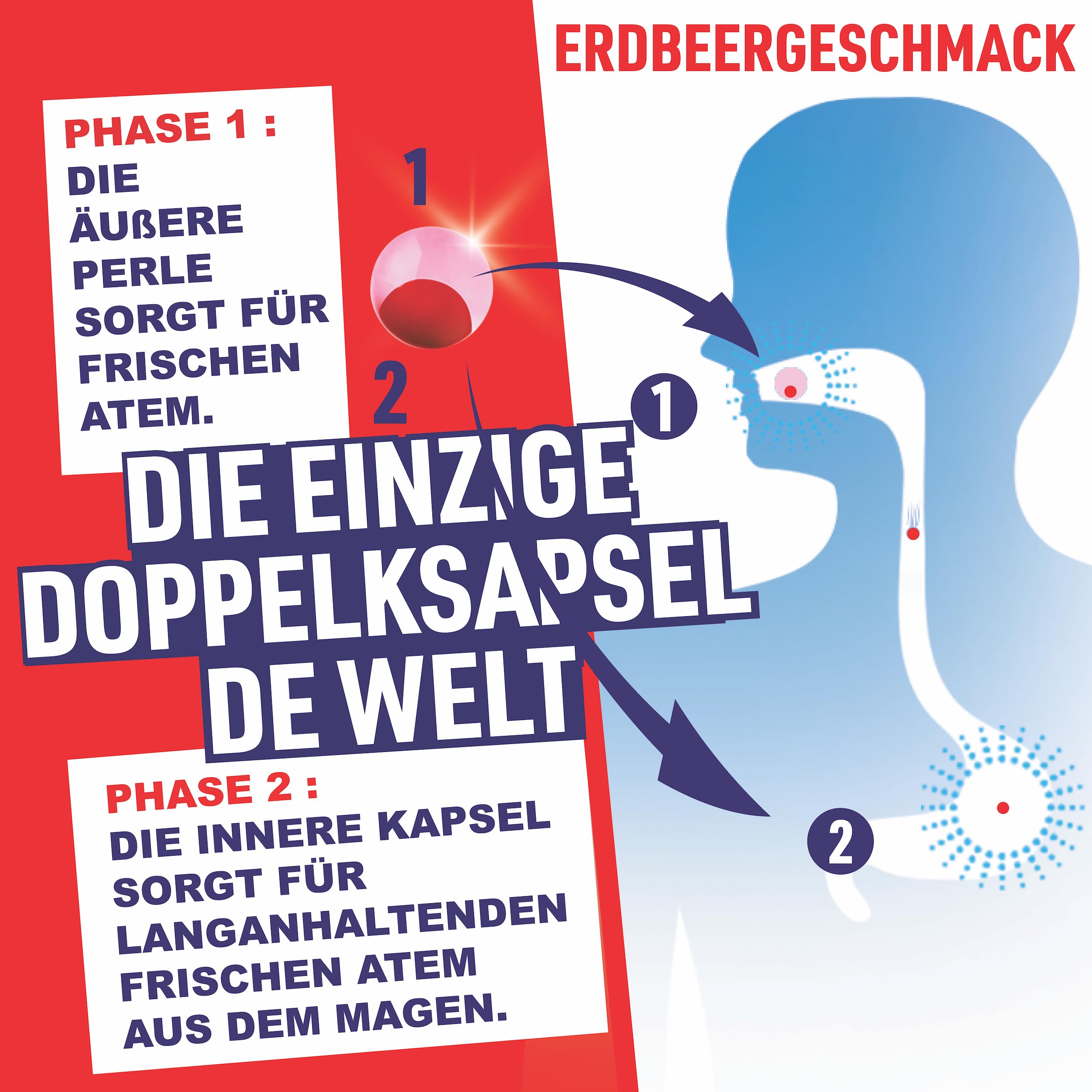 PaperMints CoolCaps – Zuckerfreie Erdbeer-Perlen für frischen Atem, trockenen Mund & Mundgeruch – Display, 32 Röhrchen à 18 Kapseln