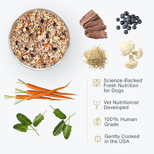Miniatura 2 de JustFoodForDogs Alimento fresco congelado para perros, comida completa o aderezo, receta de comida para perros de grado humano con cordero y arroz