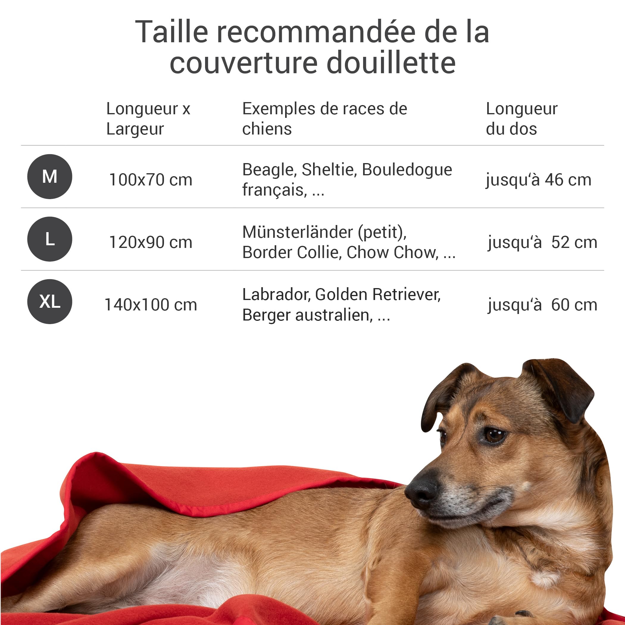 Doctor Bark Couverture Polaire Rouge pour Chien Taille XL 140 x 100 cm