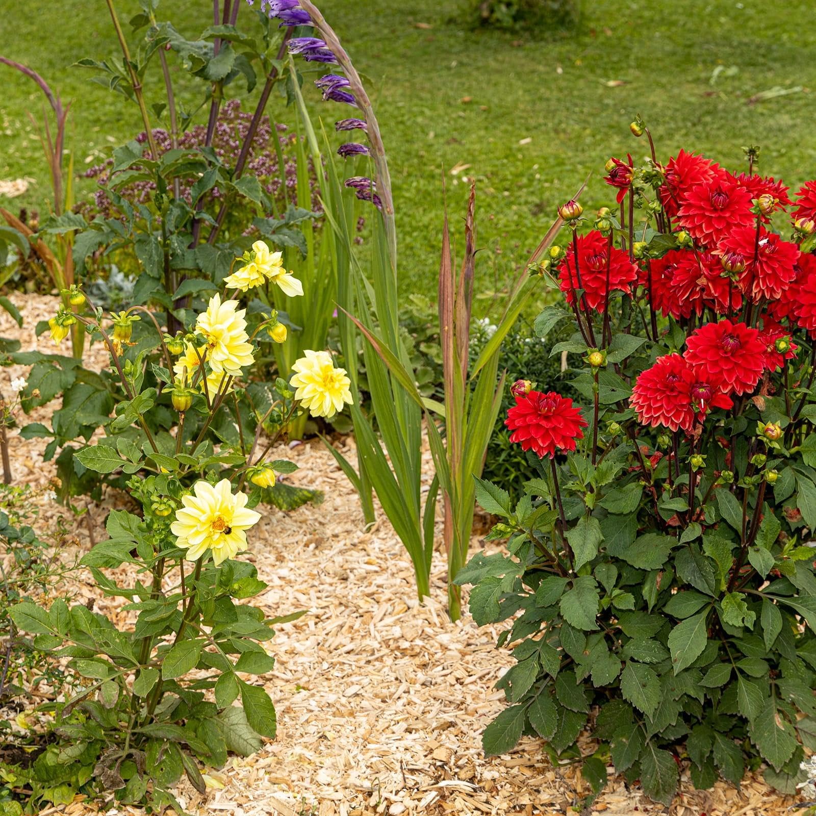 BooGardi Copeaux de bois grossiers de 27/76/100 litres - 76 l - Protection contre les mauvaises herbes - Couverture de parterre - Conception naturelle du sol