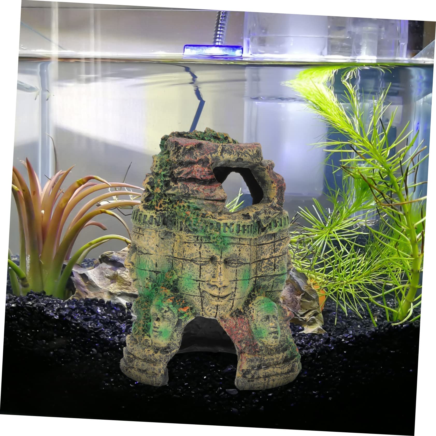 Happyyami Cueva Decorativa para Reptiles Refugio Natural para Terrario para Lagartos Arañas y Serpientes Suministros De Hábitat para Mascotas
