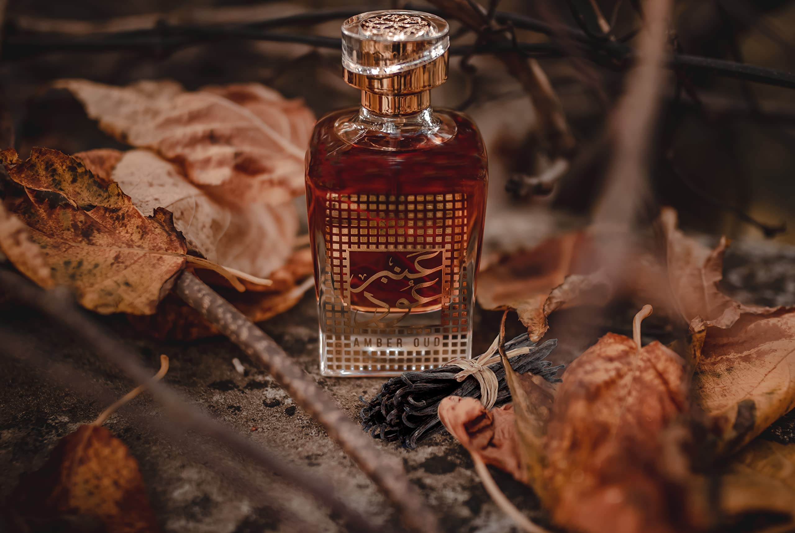 Nusuk Amber Oud Eau De Parfum Spray, 3.4oz : Amazon.ae: Beauty