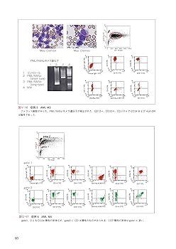 スタンダ－ドフロ－サイトメトリ－ スタンダード フローサイトメトリー 第2版 | 池本 敏行, 伊藤
