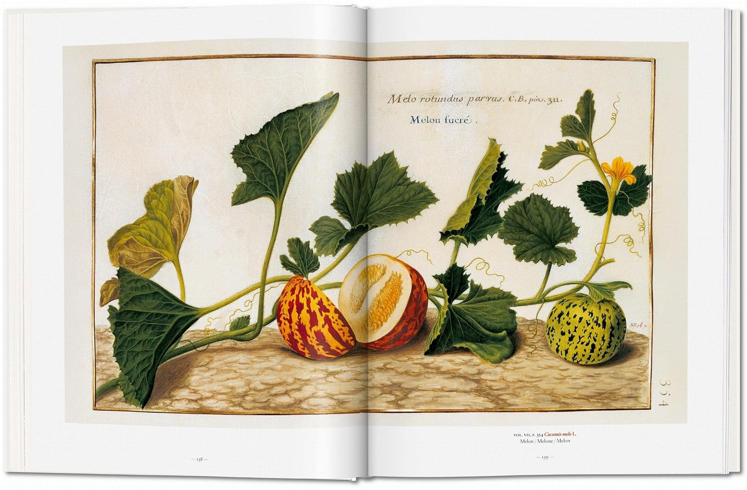 A Garden Eden: Masterpieces of Botanical Illustration (Fantastic Price) (Multilingual Edition)