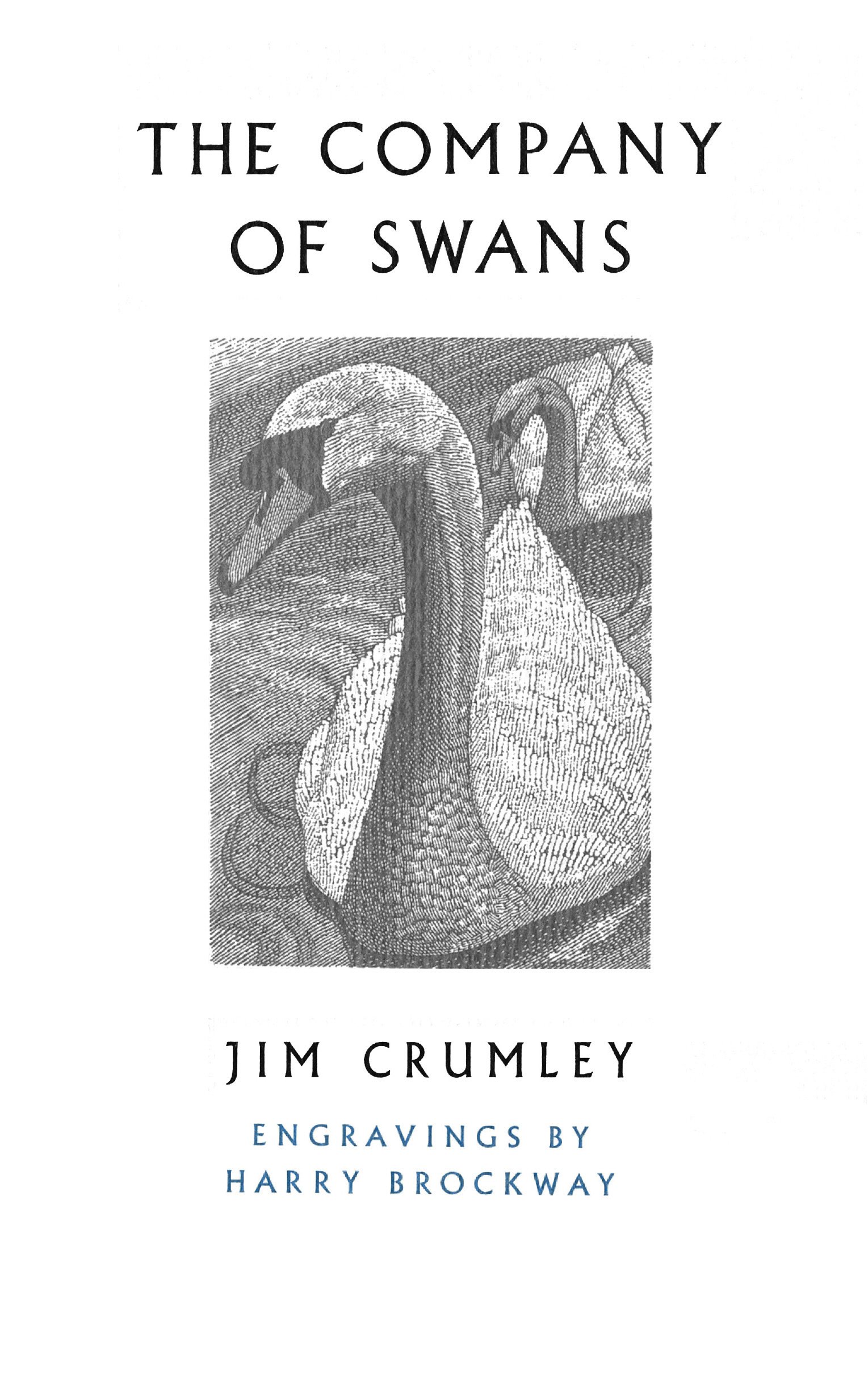 The Company of Swans by Jim Crumley PAPERBACK 9781787300620