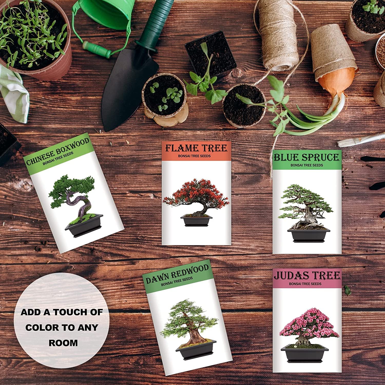 Plant Starter Kit Bonsai Starter Kit With 5 Tree Seeds - Complete Gardening  Set With Tools In Gift Box 5 Tree Seeds Gardening Set With Complete Tools