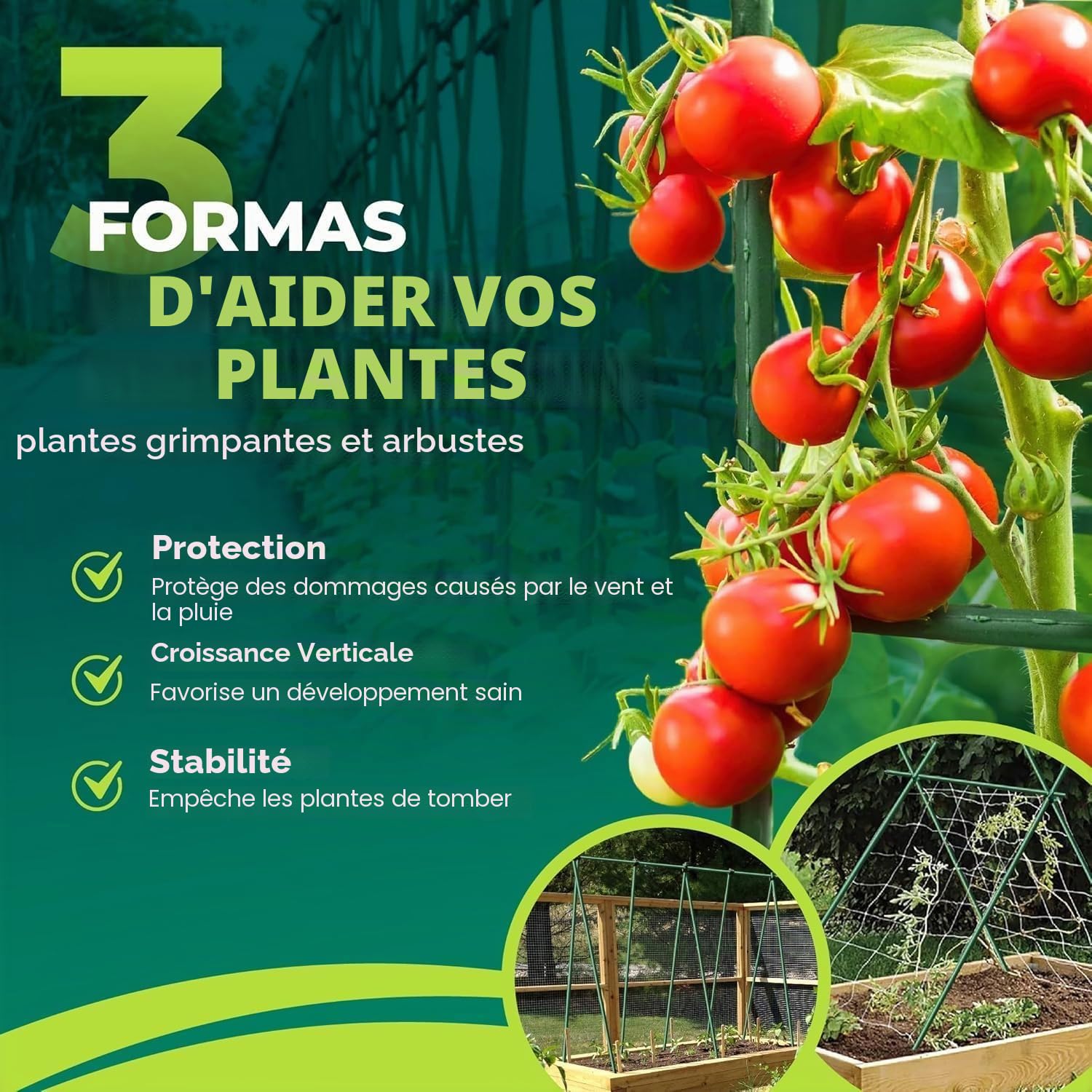 CONTROL GARDEN Lot de 30 tuteurs en acier plastifié pour plantes haute Ø 8-10 mm | croissance des plantes | Support de cultures adapté pour l'intérieur et l'extérieur (150 cm)