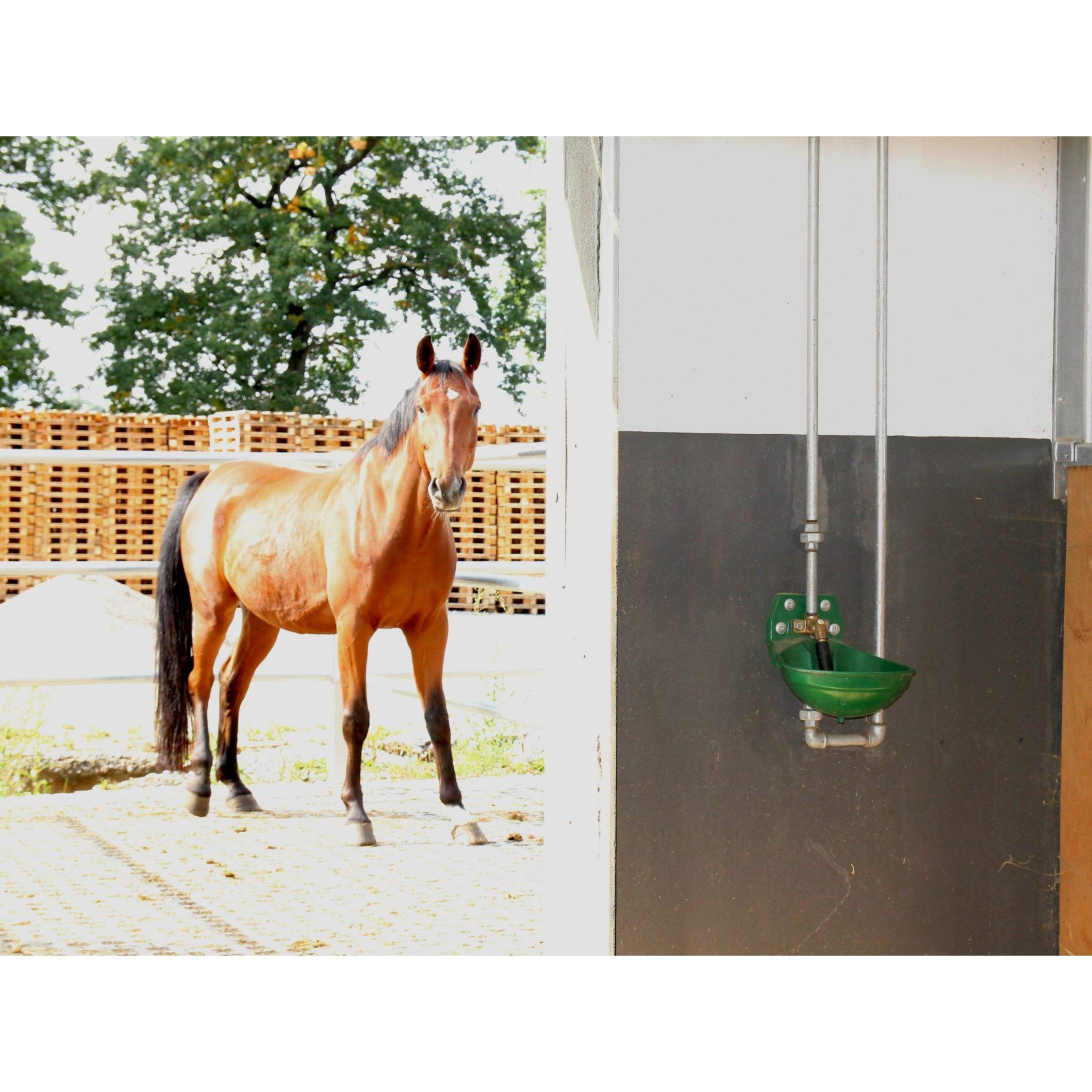 Suevia Tränkebecken Modell 12P mit Messing-Ventil 1/2" IG