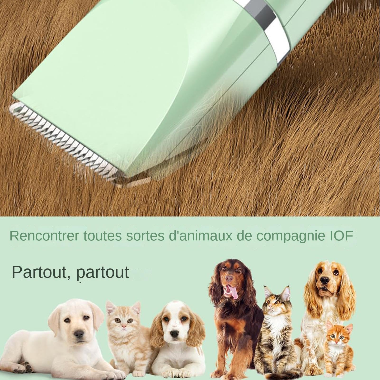Tondeuse à oreilles de chien, kit de toilettage électrique pour chien | Kit de toilettage électrique pour chien à faible bruit,Rasoir léger pour chat, ensemble de toilettage polyvalent pour pattes, ye