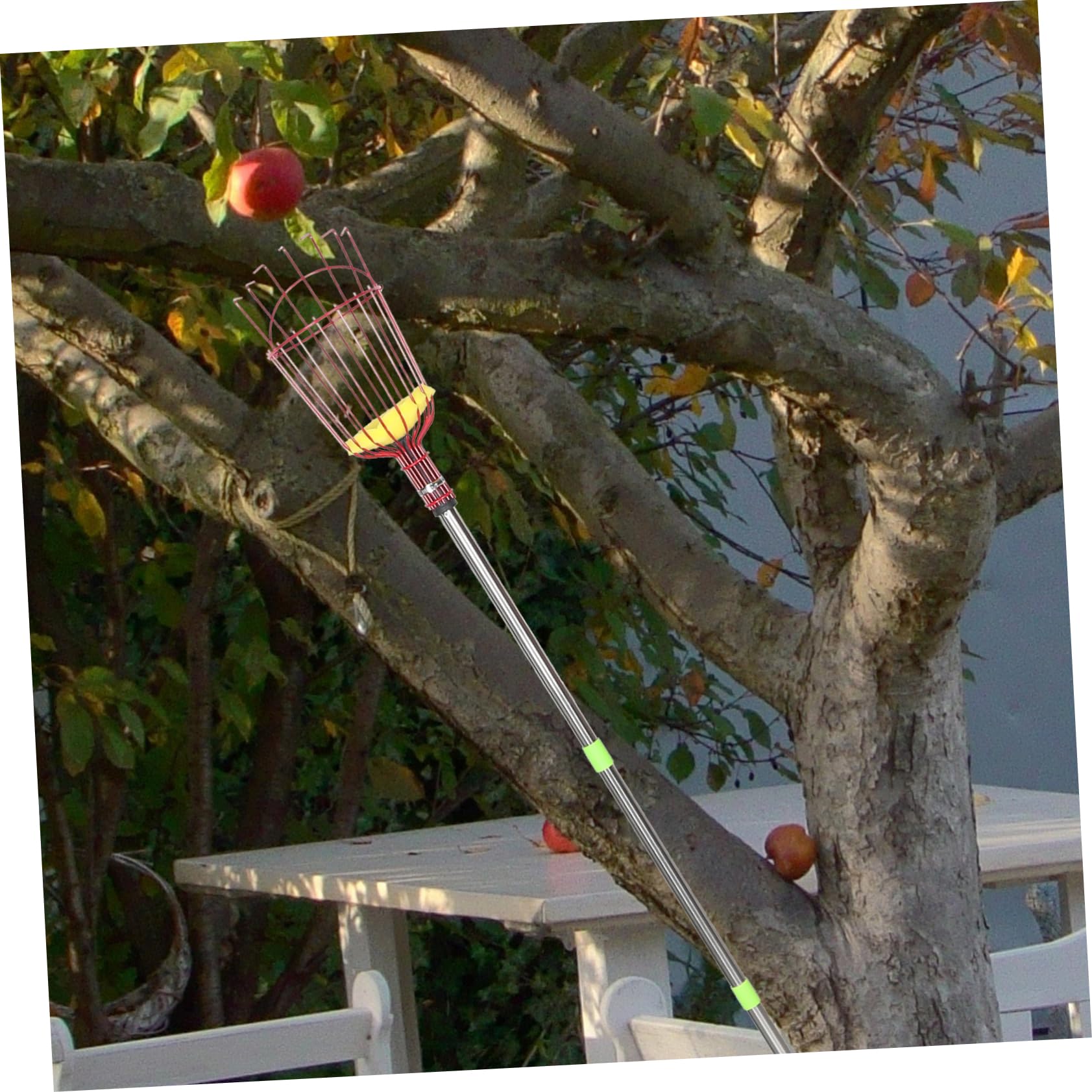 1.6m Cueille-Fruits Extensible avec Panier pour Fruits Perche à Fruits Réglable pour Cueillette Facile