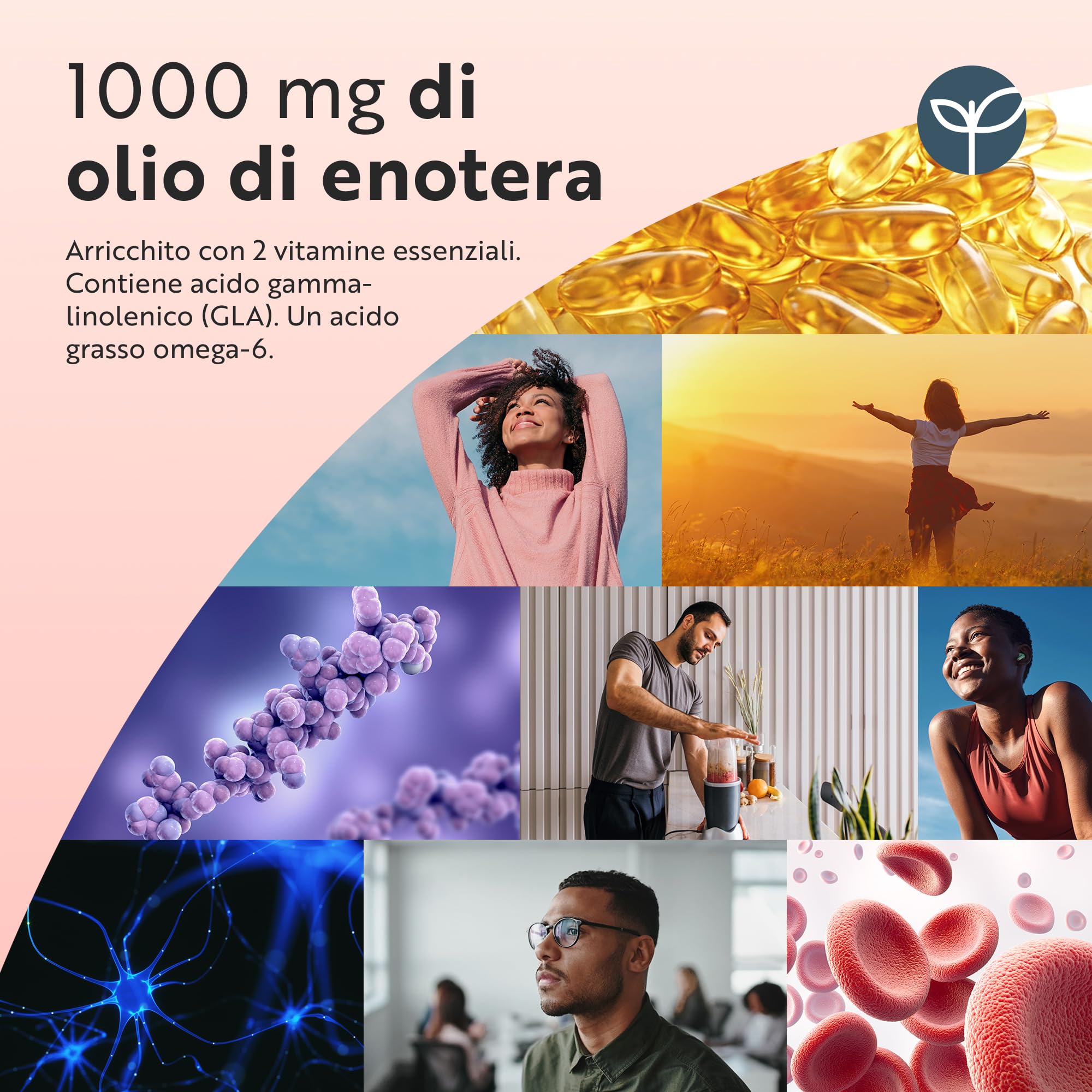 Nutravita Olio di Enotera 1000 mg con Vitamina E & B6 – 120 Capsule Molli ad Alta Potenza – Ricca Fonte di Omega 6 e GLA - Contribuisce al Mantenimento della Pelle Normale