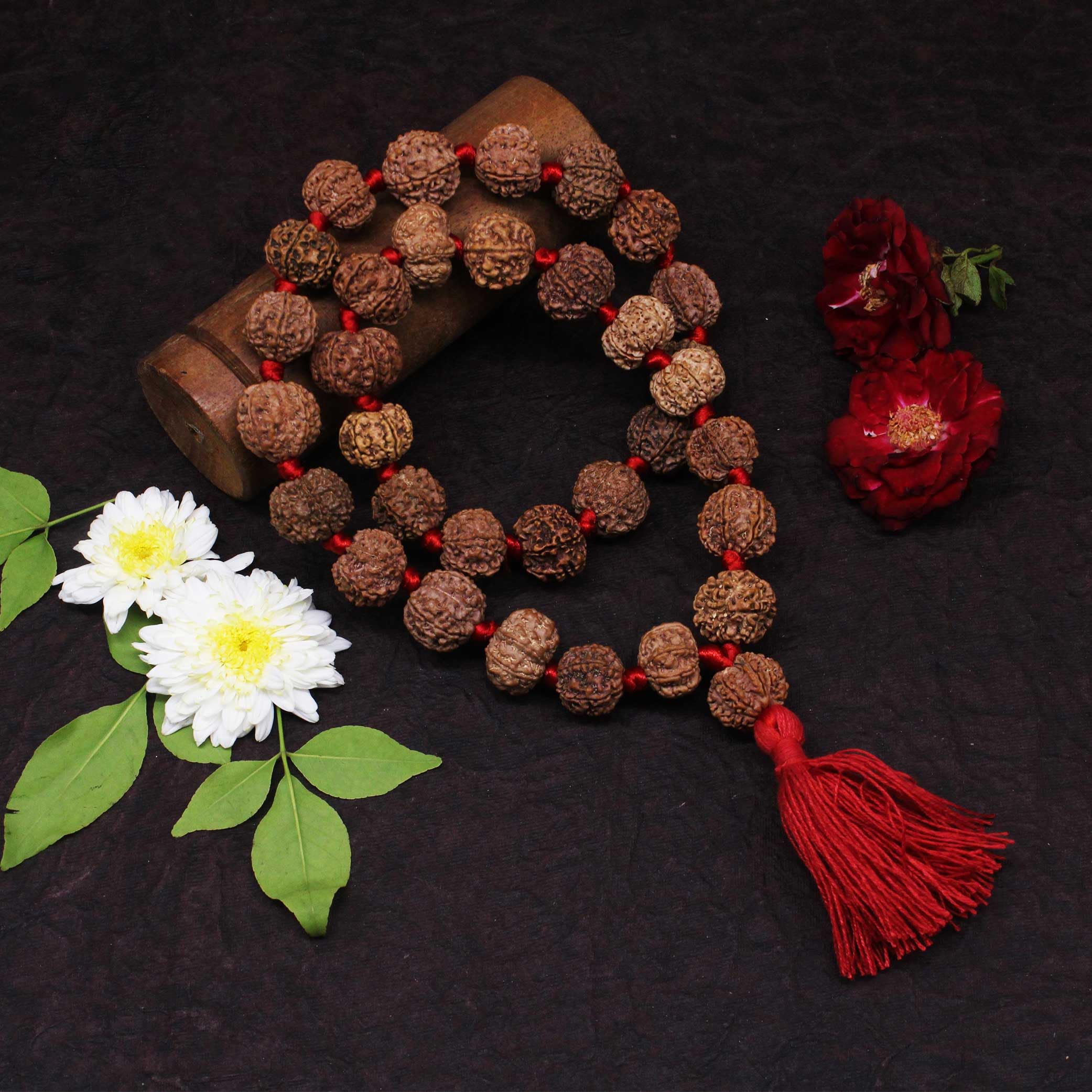 7 mukhi laxmi puja Saptamatrikas Nepali Rudraksha Kantha mala Shani Dosha Nivaran Powerful Kantha (Saat Mukhi 32+1 Beads)-image-44