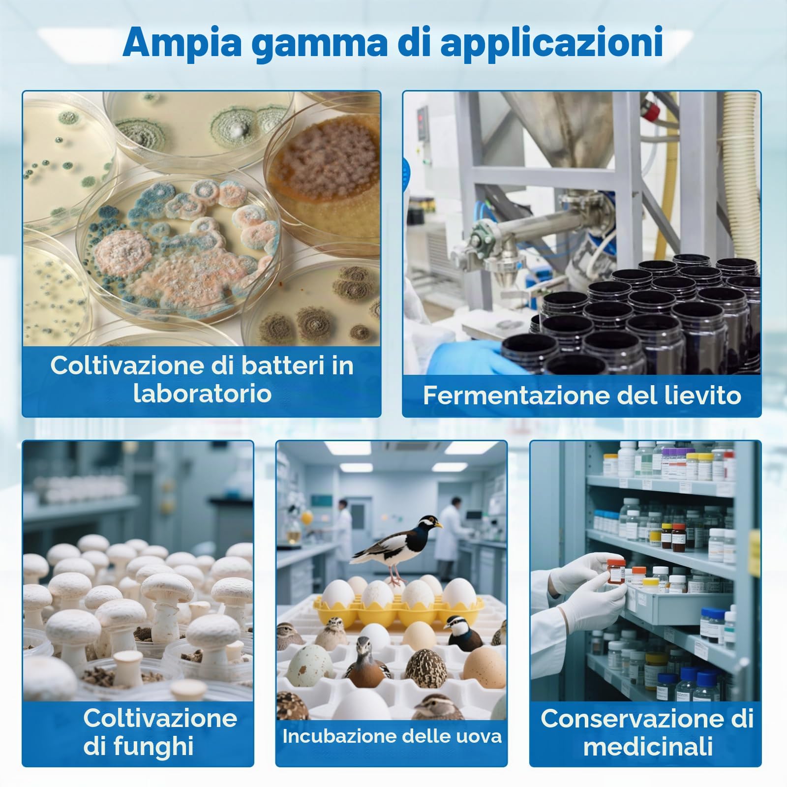 Incubatore, 10 l, 35-148 ℉, armadio termostatico per uso generale di laboratorio, ciotole di Petri, semi, 12 V/110 V