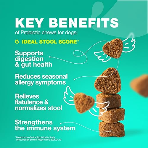 Miniatura 3 de Probióticos para perros Salud intestinal, digestión, inmunidad, equilibrio de levadura, picazón en la piel, apoyo a las alergias, probióticos