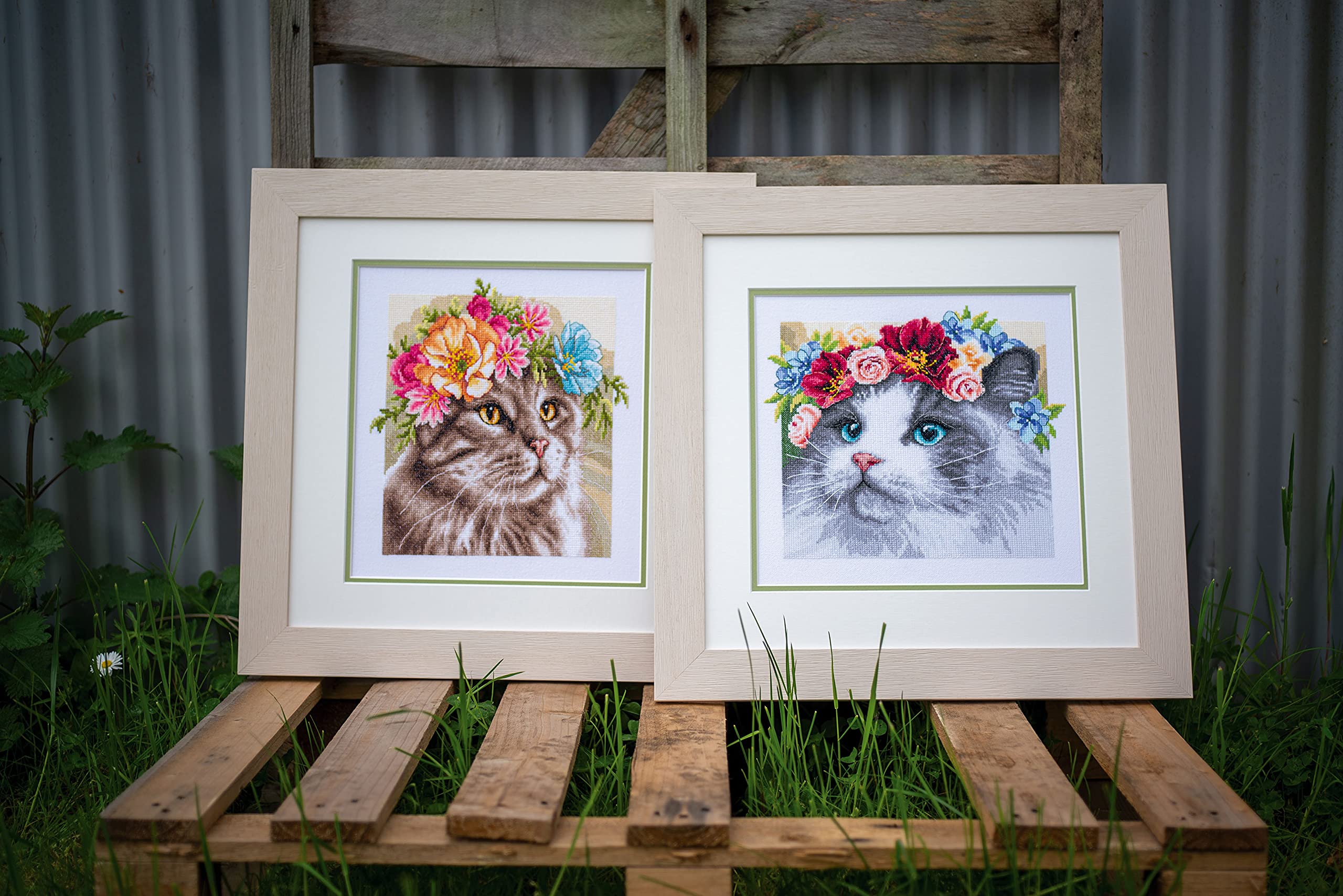Lanarte Kits De Punto De Cruz Contado Completo Arte De Pared DIY MAINE COON CON CORONA DE FLORES Set Manualidades Adultos Set Decoracion Salon Creativo Regalo ca. 29 x 29 cm Cross Stitch