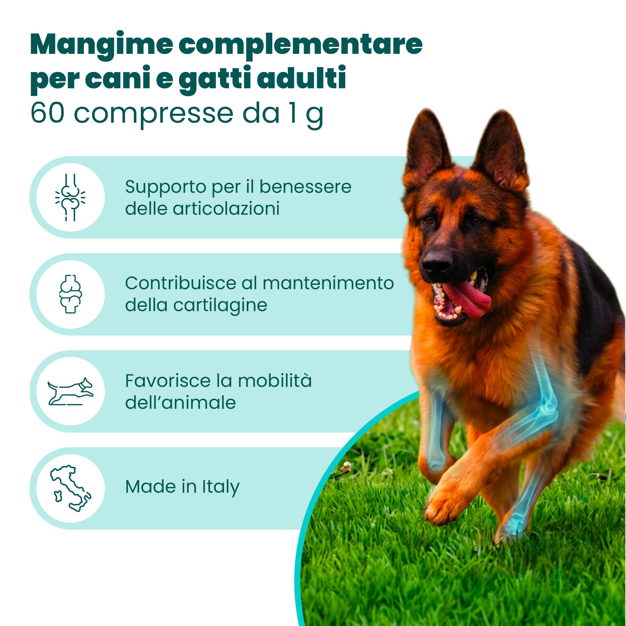 CAMON | Condrosalus Compresse, Alimento Complementare per Cani e Gatti per il Benessere delle Articolazioni, Previene Fenomeni Artrosici, 60 cpr