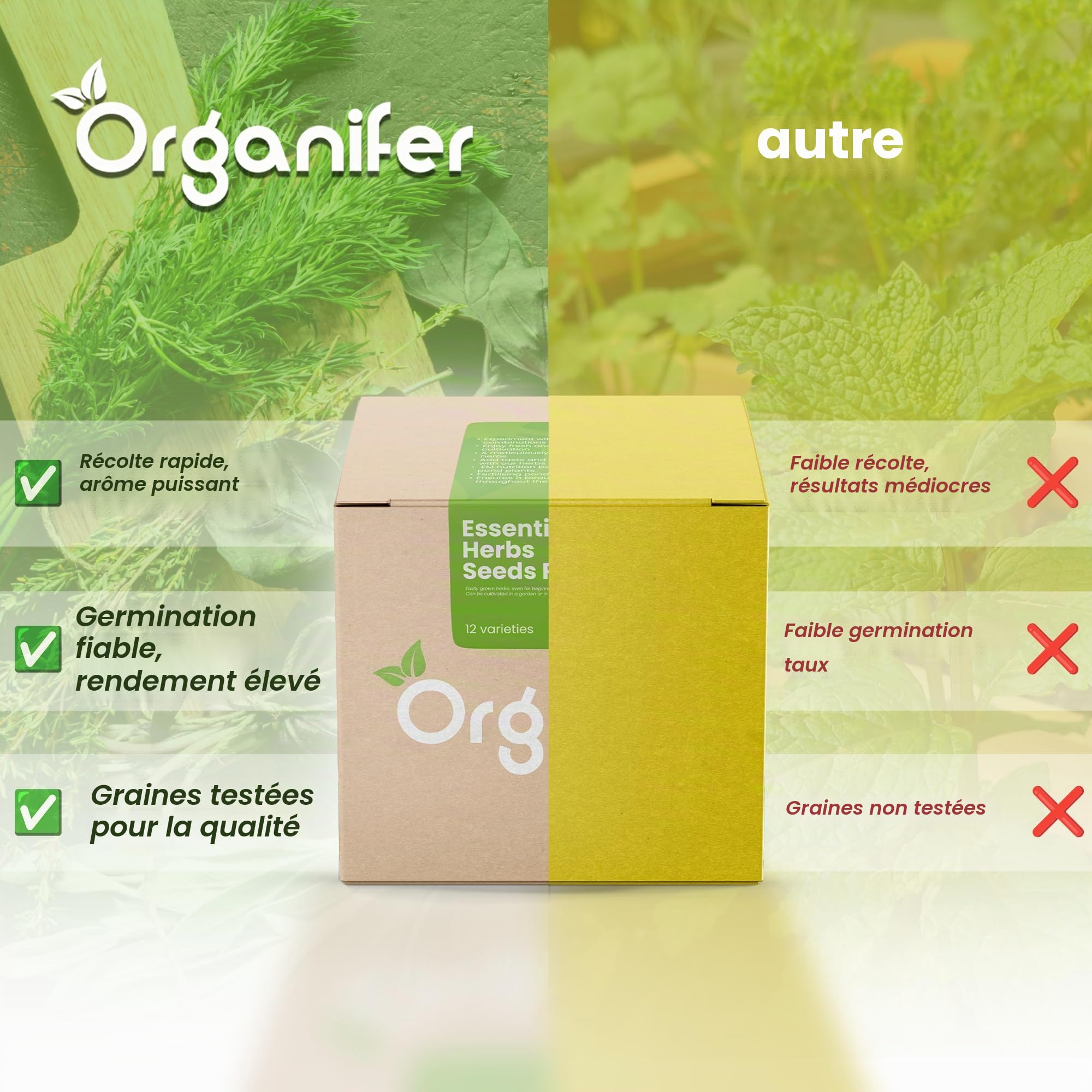 Pack De Graines D'Herbes