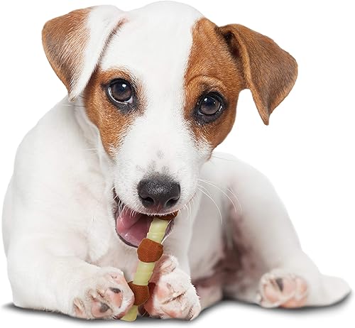 Miniatura 8 de Nylabone Power Chew Shish Kabob - Juguete de nailon alternativo para masticar, pollo, pequeño, regular (1 unidad)