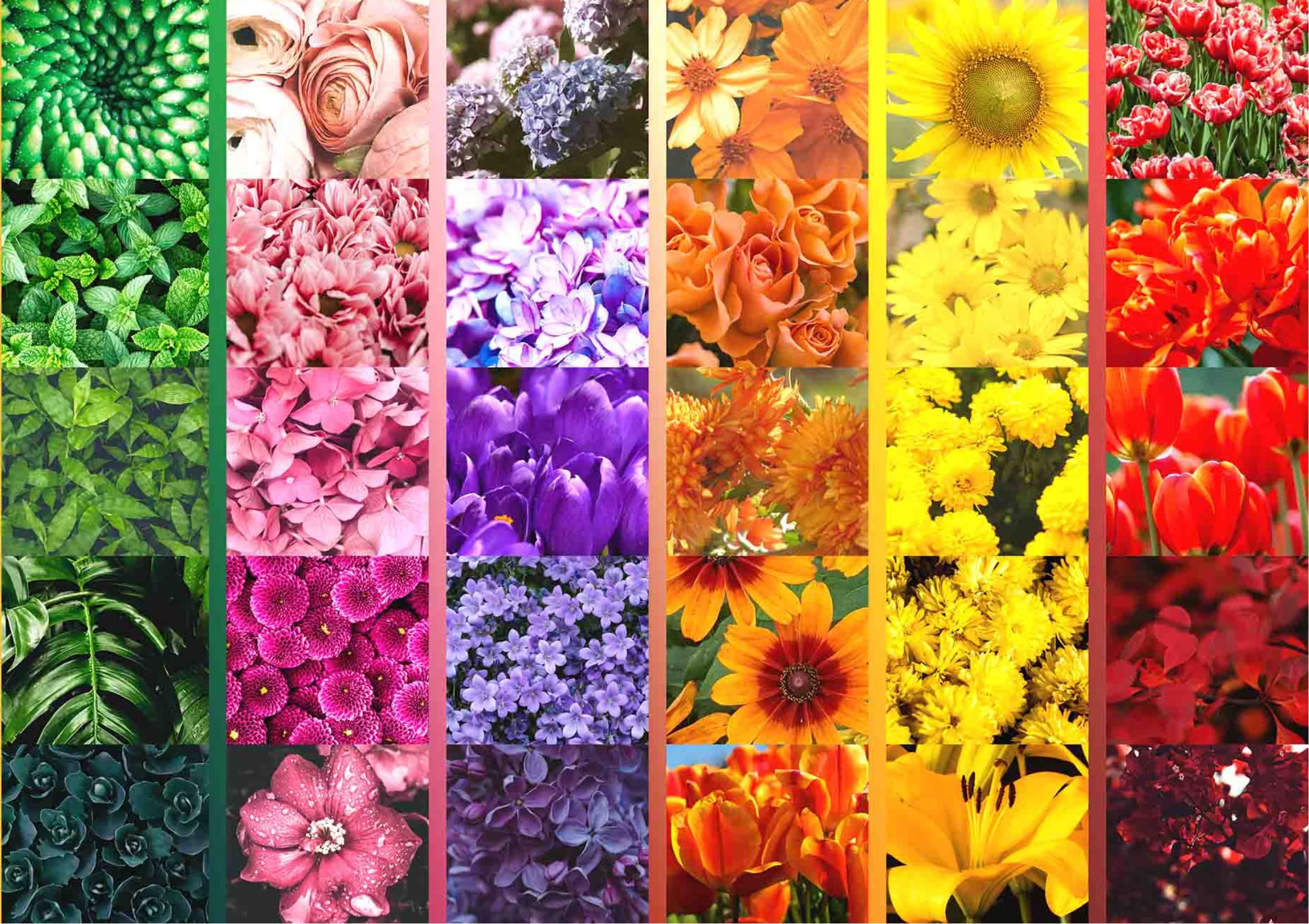 Brain Tree - Flower Grid 1000 Piece Puzzles for for Adults and Kids 12+ Unique Puzzles for Adults and Kids 1000 Pieces with Droplet Technology for Anti Glare & Soft Touch - 27.5”Lx19.5”W (B09Q1T9QFW) Amazon Price History, Amazon Price Tracker