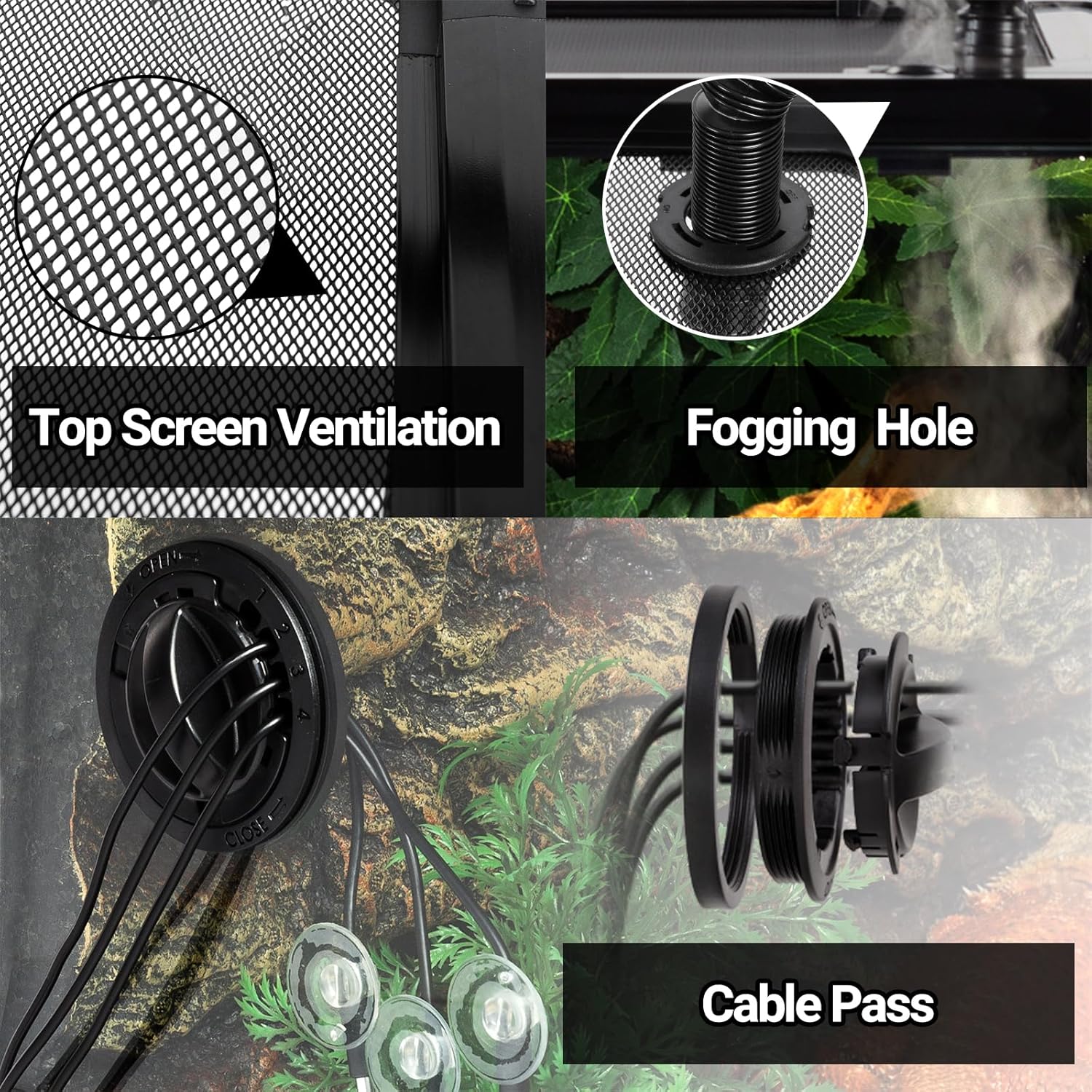 20 Gallon Reptile Tank with Reptile Heat Pad