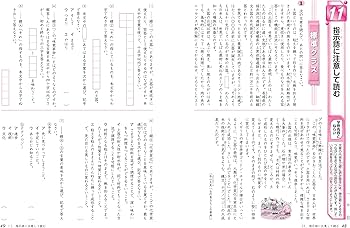 小5 ハイクラステスト 国語:2024年の教科書改訂に対応/小学生向け問題 小5 ハイクラステスト 国語:2024年の教科書改訂に対応/小学生向け問題