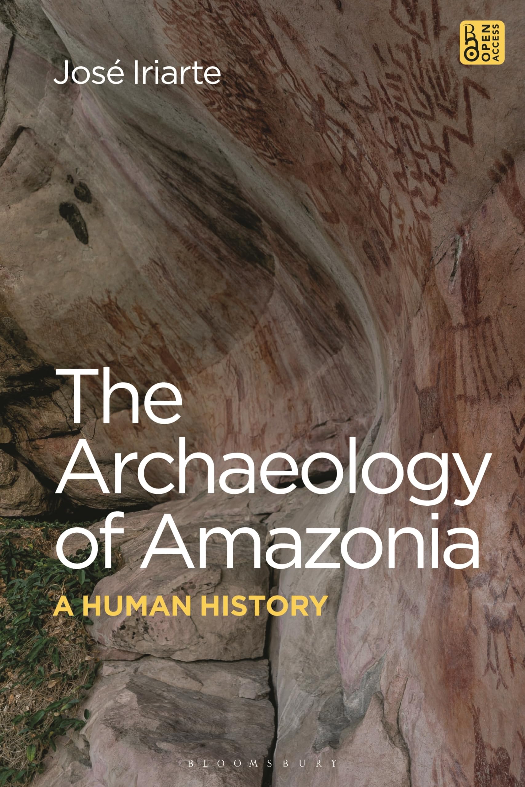 The Archaeology of Amazonia by Professor Jose  Iriarte PAPERBACK 9781350270732