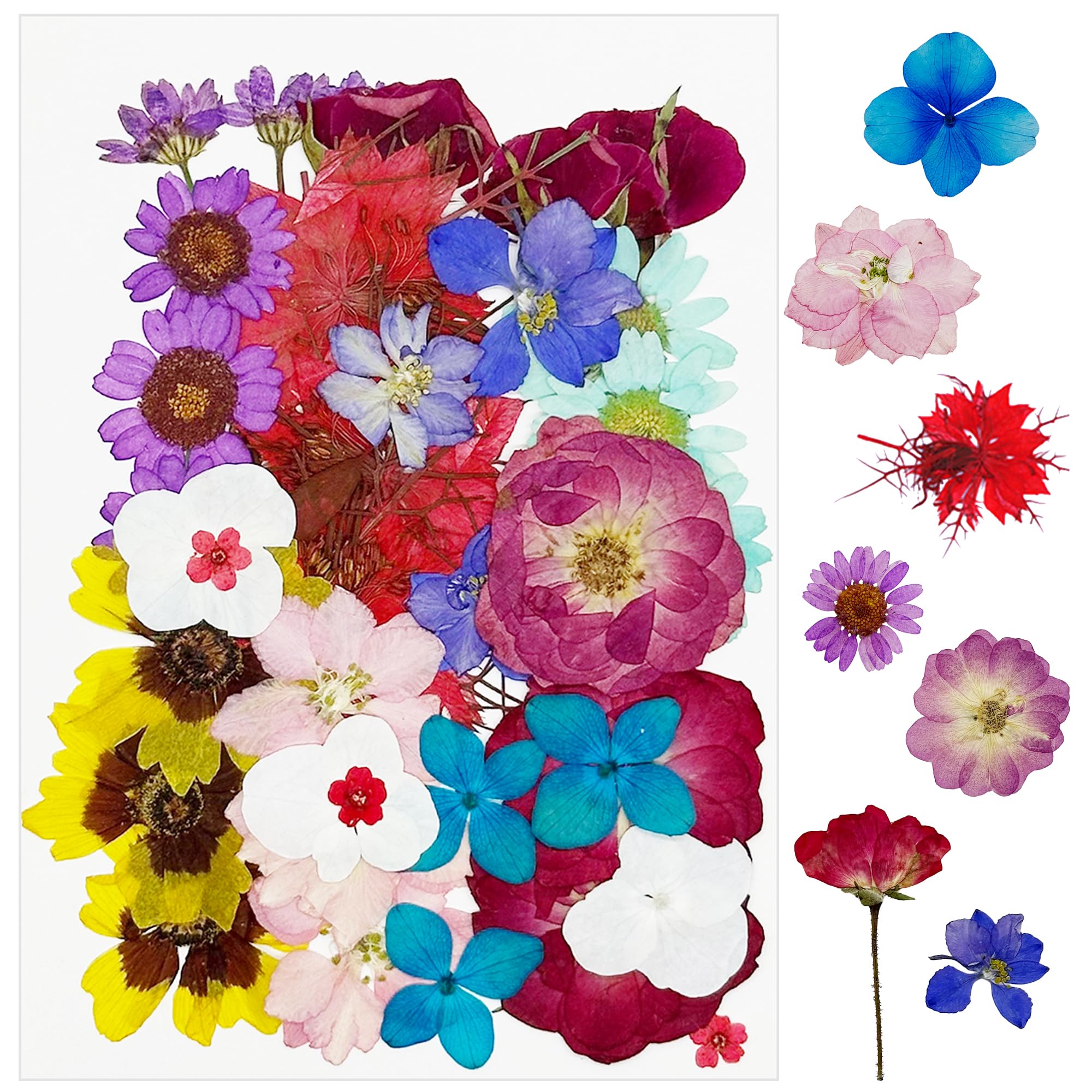 Cayway 36 PCS Dried Pressed Flowers for Resin Mixed Color Real Pressed Flowers Dry Leaves Kit Natural Dried Pressed Leaves for Art Crafts Resin Scrapbook Supplies Soap Candle DIY