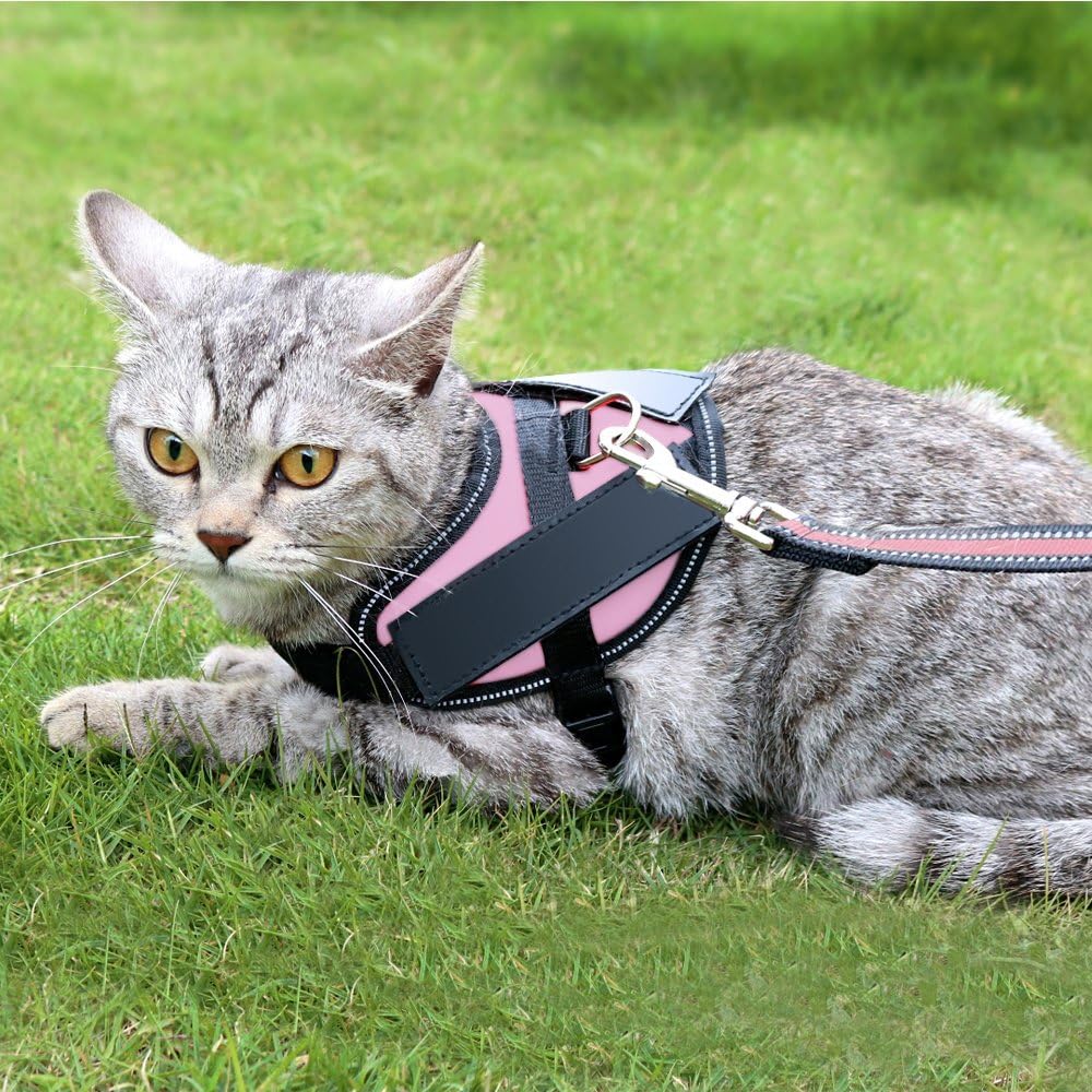 Cat Harness, No Pull Padded Vest for Pet, Adjustable and Reflective Design,Nylon Material Great Fit for Exotic,Ragdoll,British Shorthair,Persian,Maine Coon Cat, Large Size(Not Include Leash) โฆ