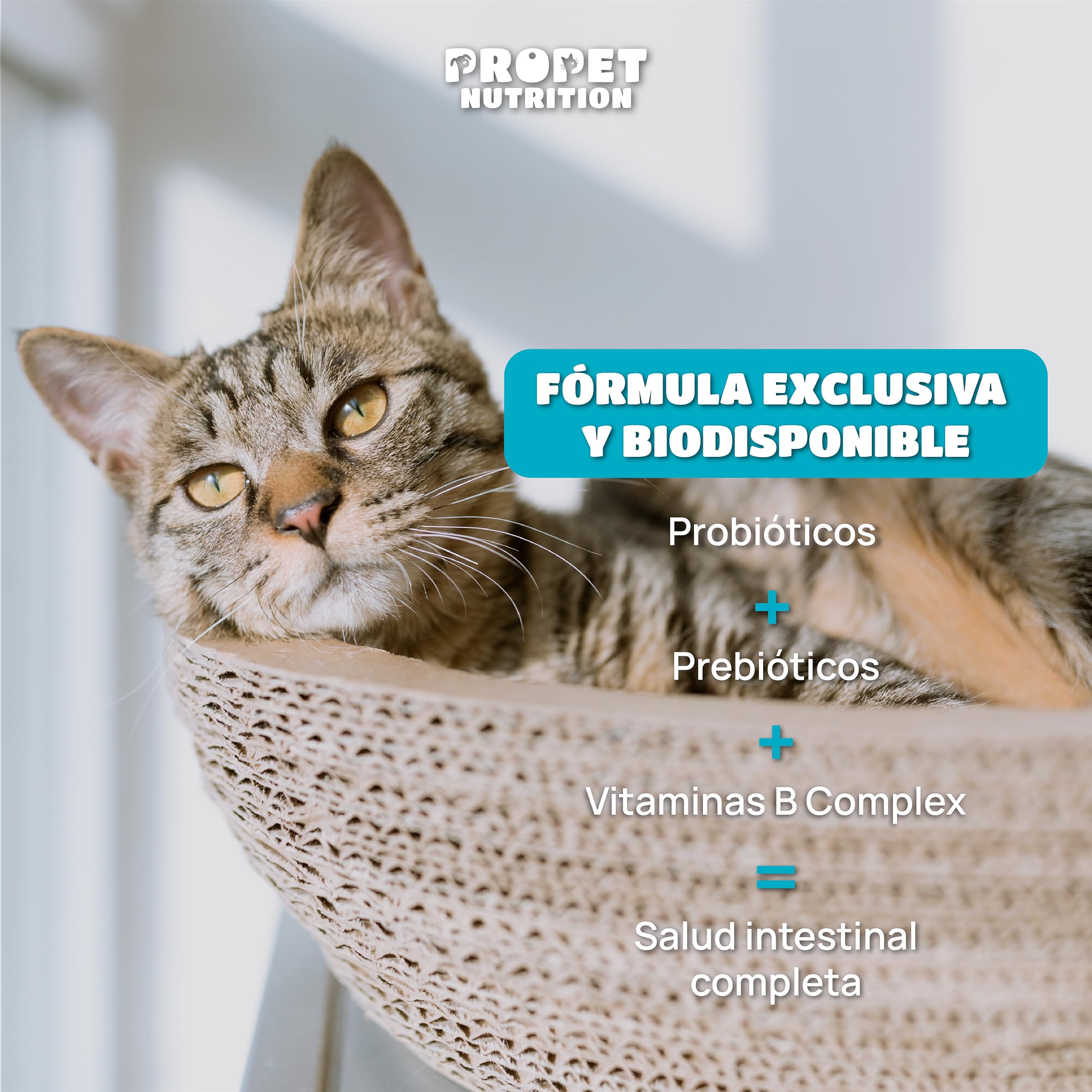 Probioticos Perros 10 Mil Millones UFC. Prebióticos y Vitamina B Complex. 11 Cepas Óptima Salud Intestinal. Refuerza Bienestar Gastrointestinal Perros. 100% Natural. 120 Comprimidos