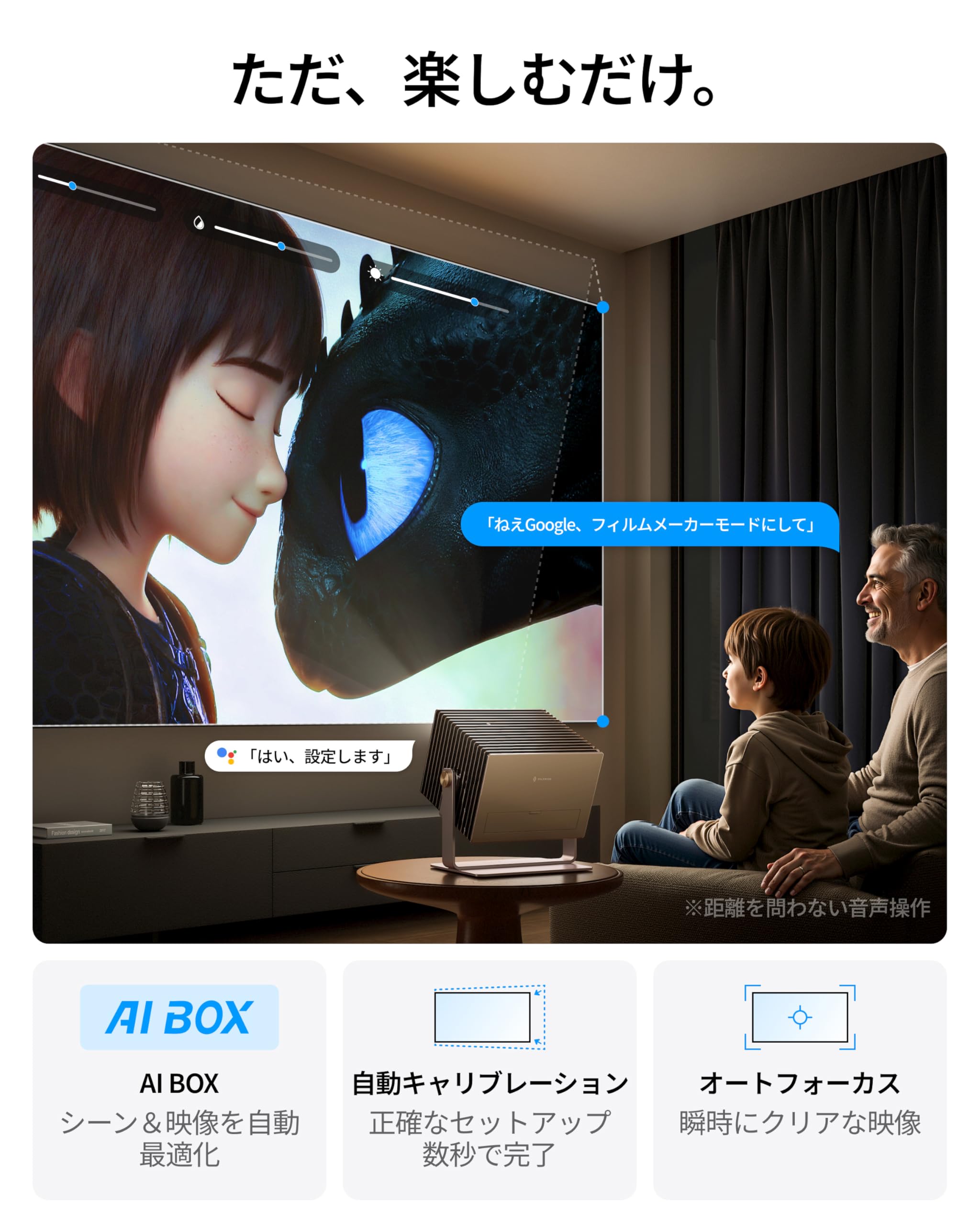 Amazon.co.jp: Valerion VisionMaster Pro トリプルレーザー｜4K