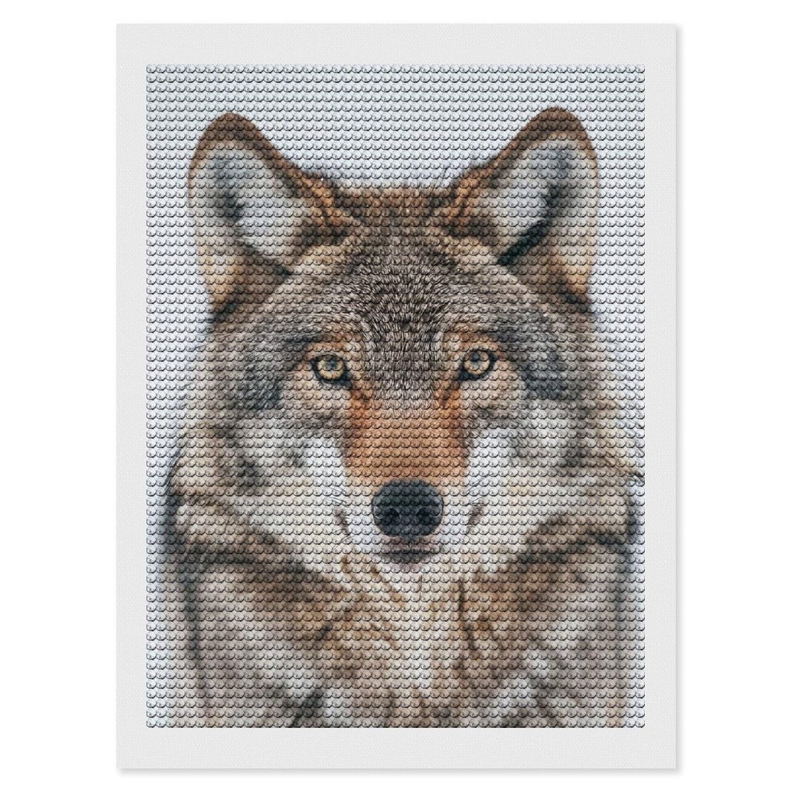 Junmoney Wolf Face Diamond Art Canvas 12"x16", Easy Handmade Project, Complete Accessories, Bedroom Decor, Birthday Gift