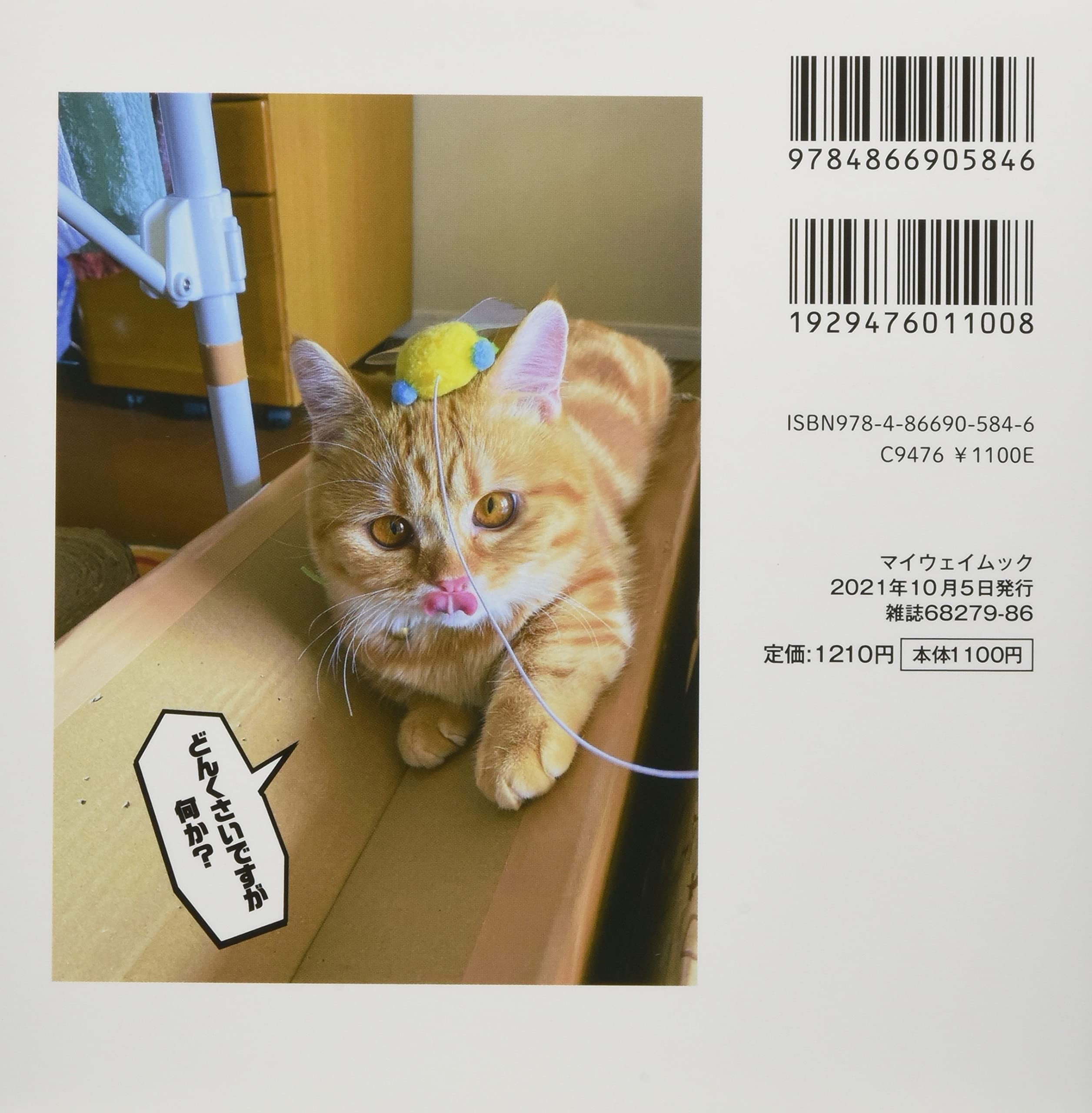 ドジ猫 マイウェイムック にゃんこ編集部 本 通販 Amazon
